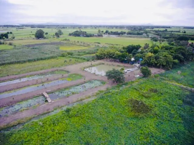 Property building in Parida Resort