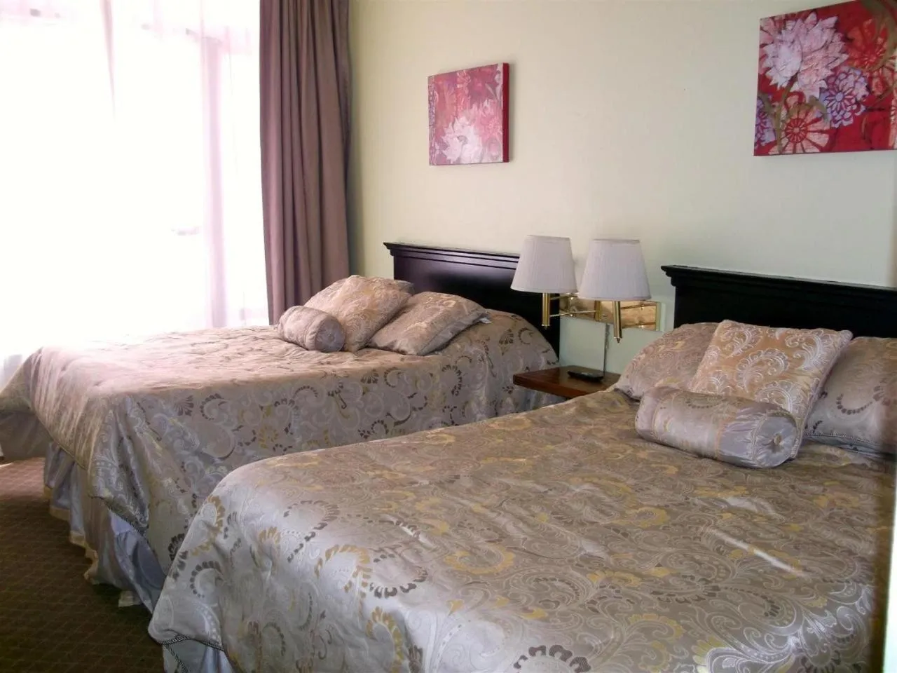 Bed in Adelaide Hostel