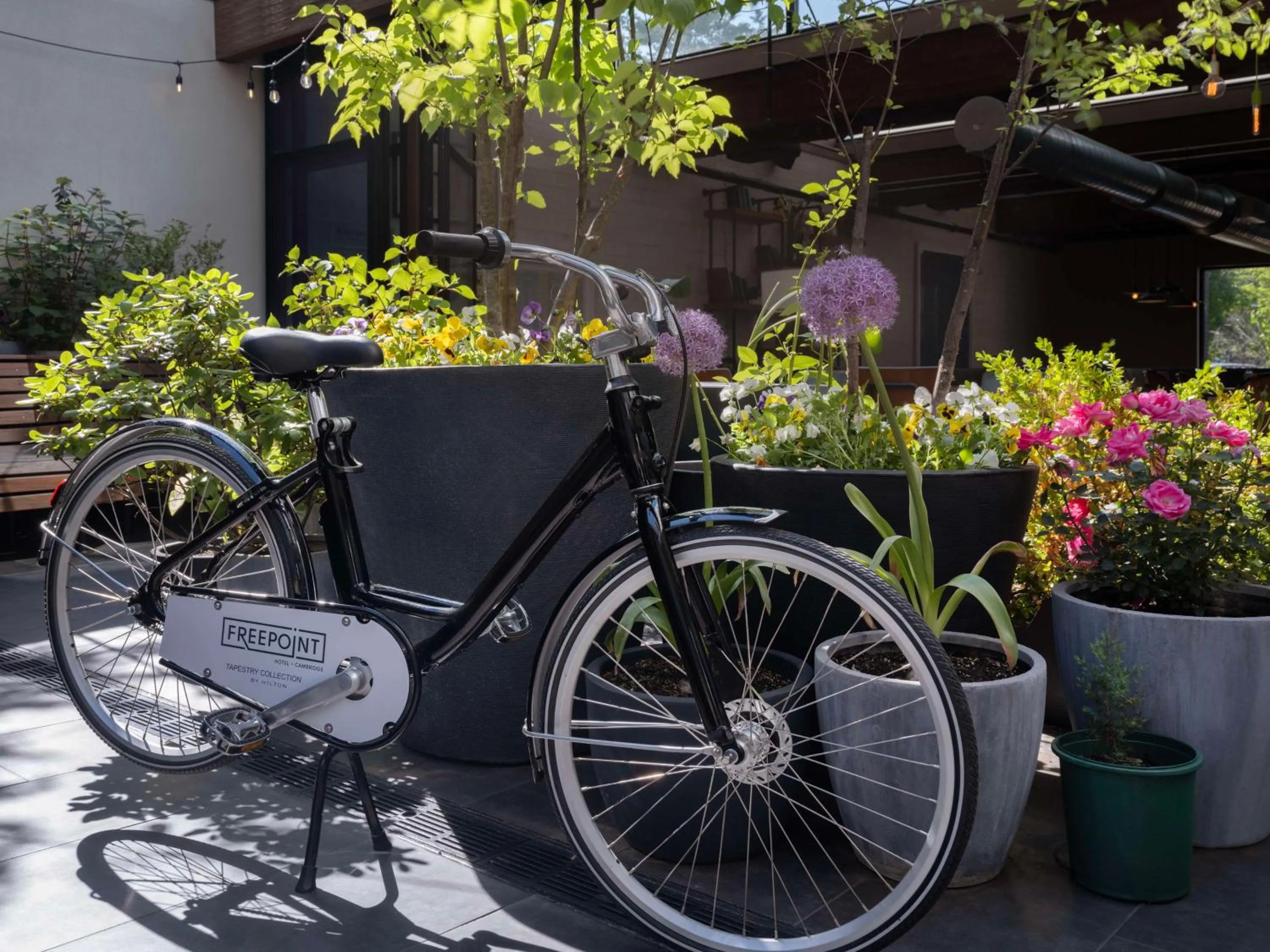 Sports in Freepoint Hotel Cambridge, Tapestry Collection by Hilton