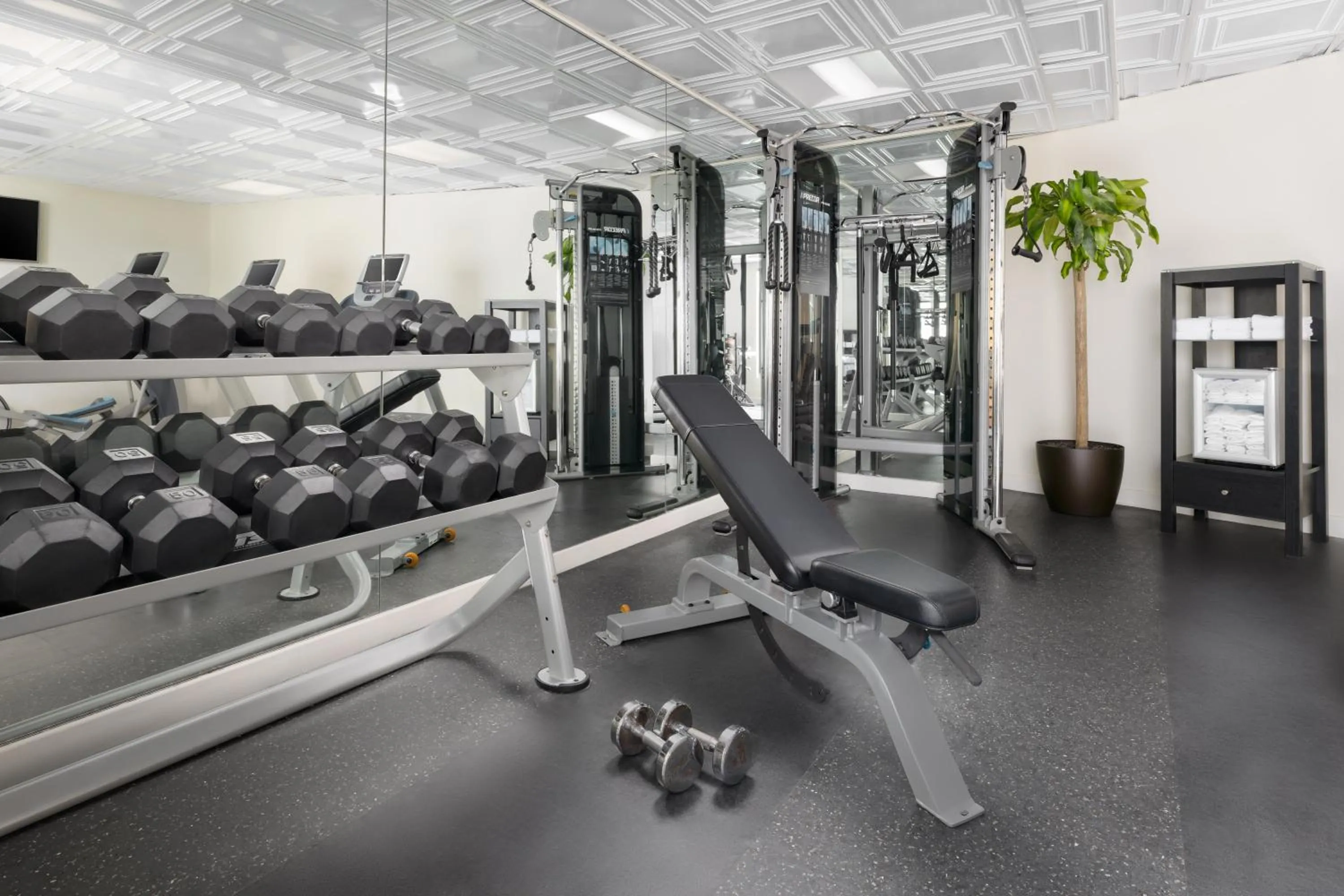 Fitness centre/facilities in The Riverfront Hotel New Orleans