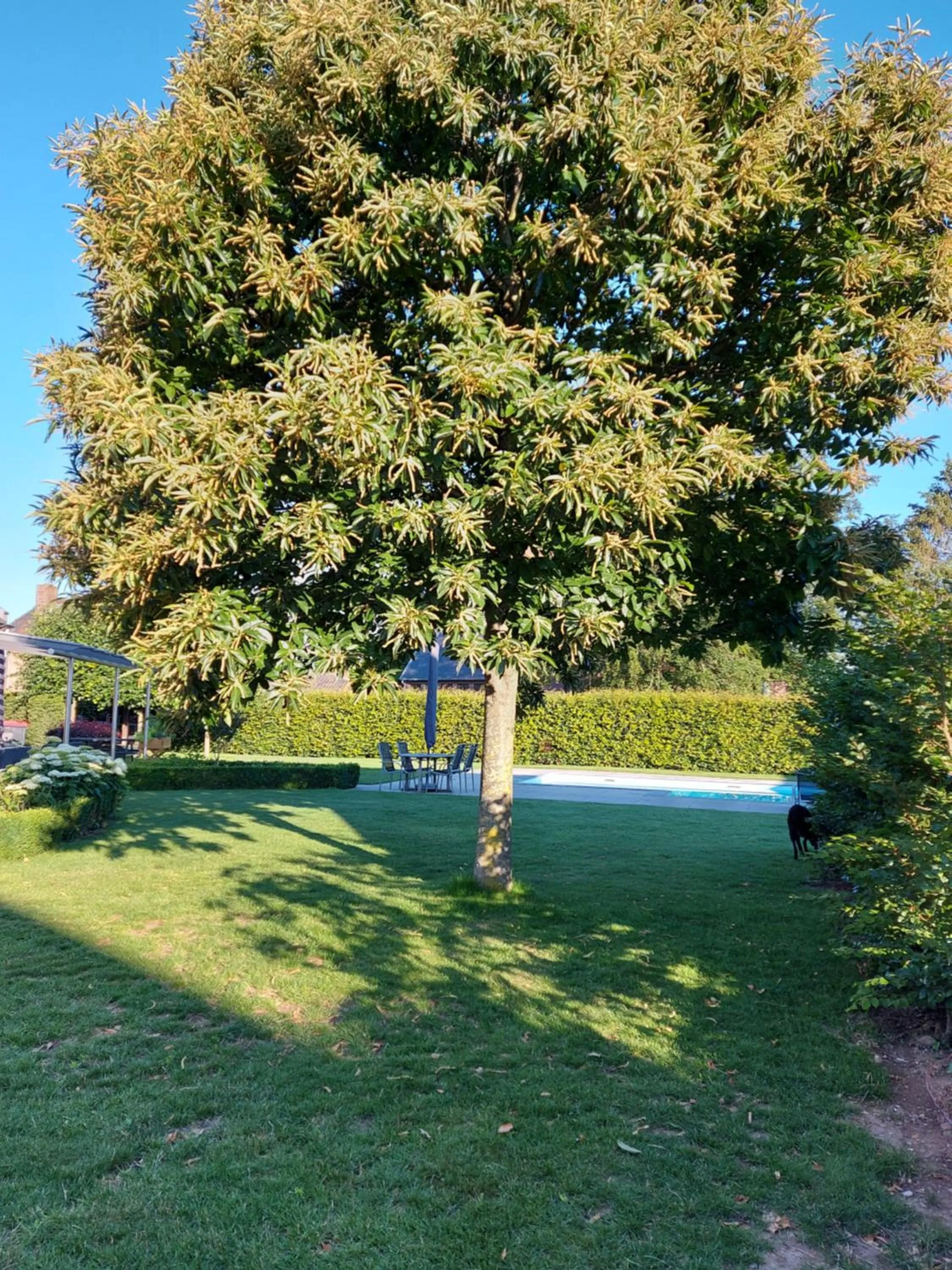 Garden in B&B La Vita Verde