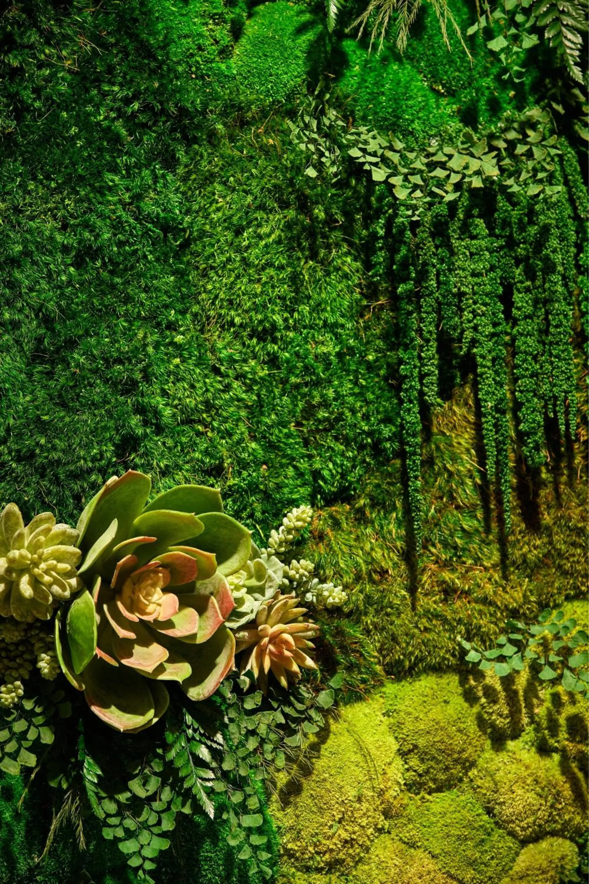 Lobby or reception in Westin Georgetown, Washington D.C.