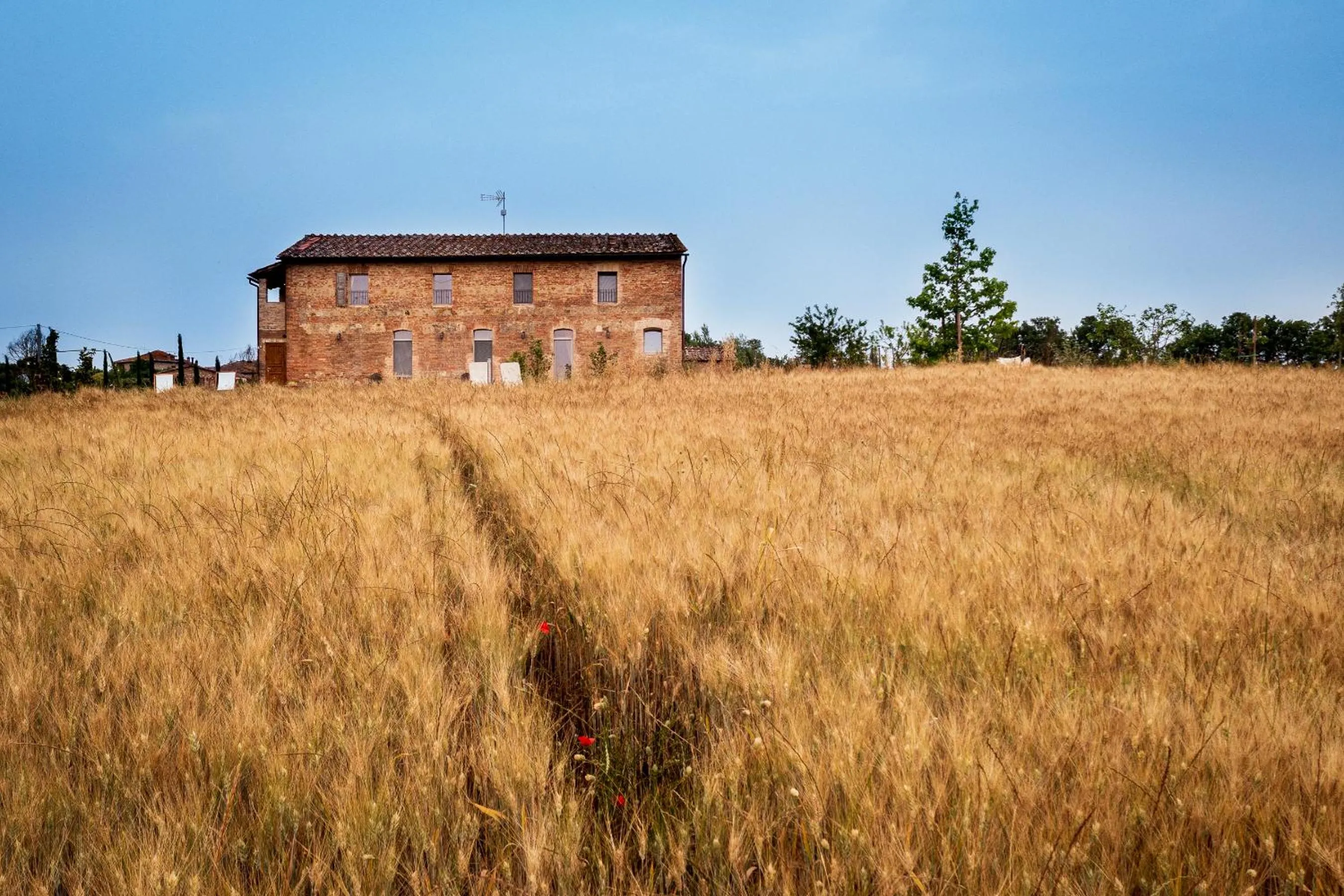 Property building in Tenuta La Santissima