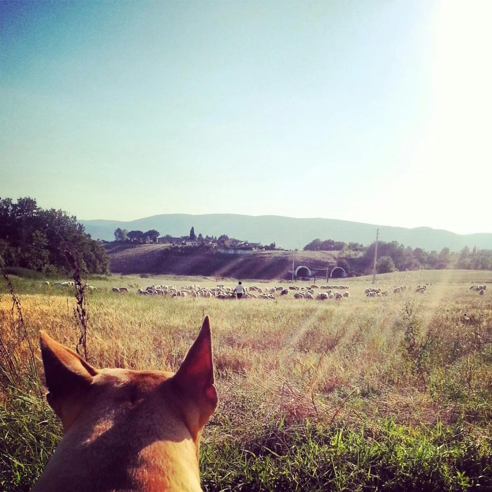 Neighbourhood in Tenuta La Santissima