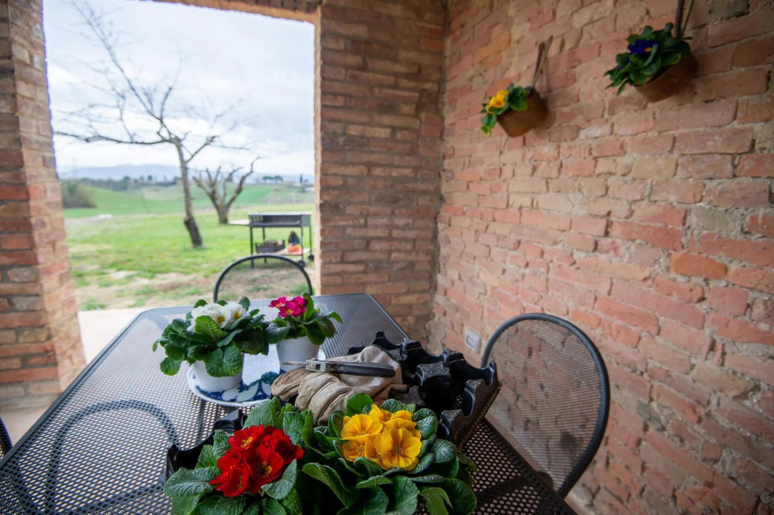 Patio in Tenuta La Santissima