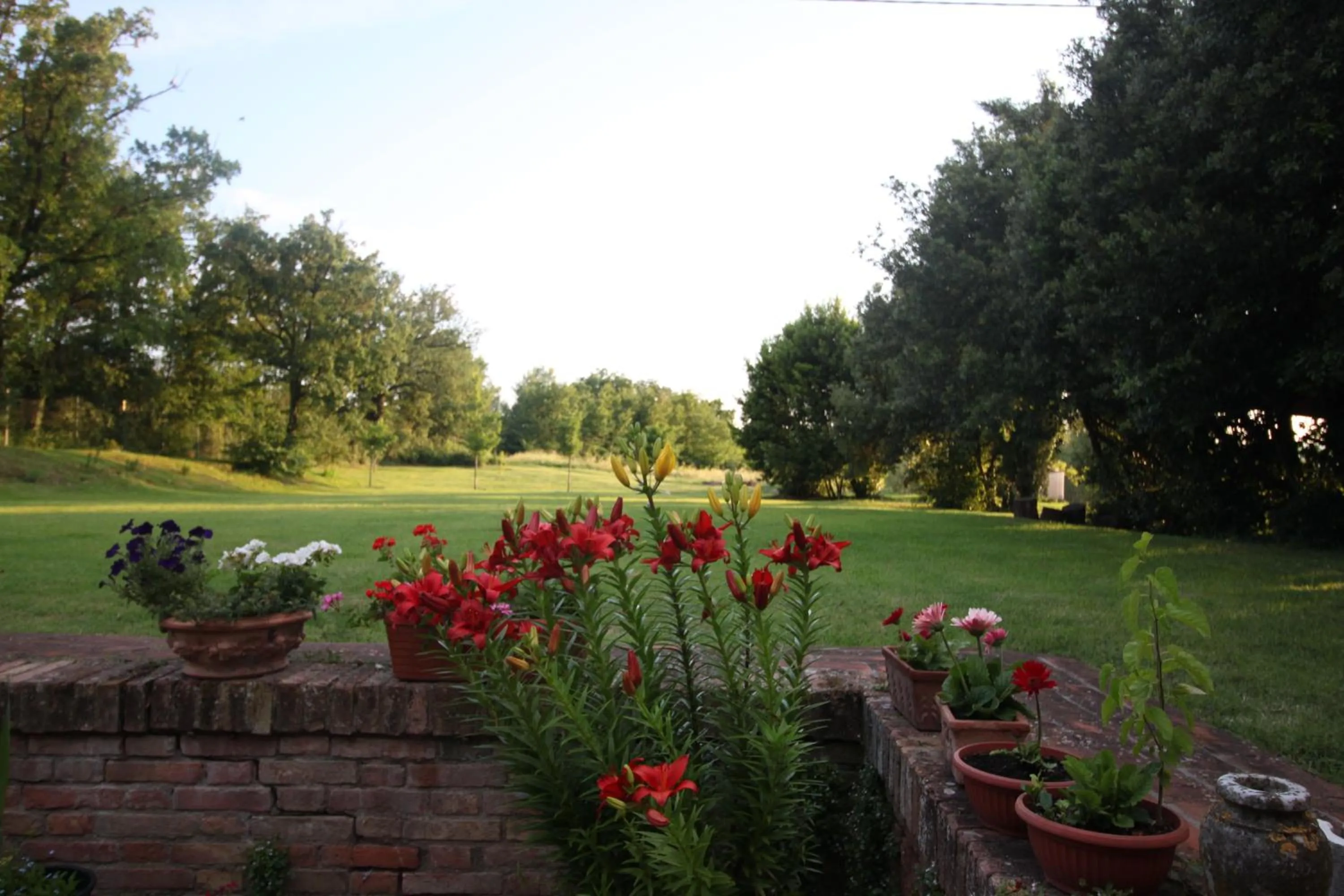 Garden in Tenuta La Santissima