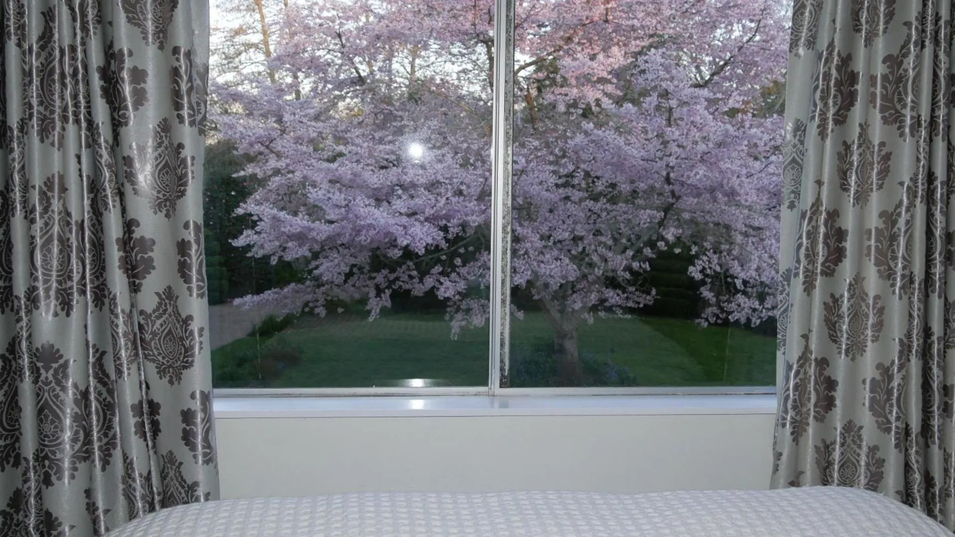 Garden view in English Cherry Tree Manor