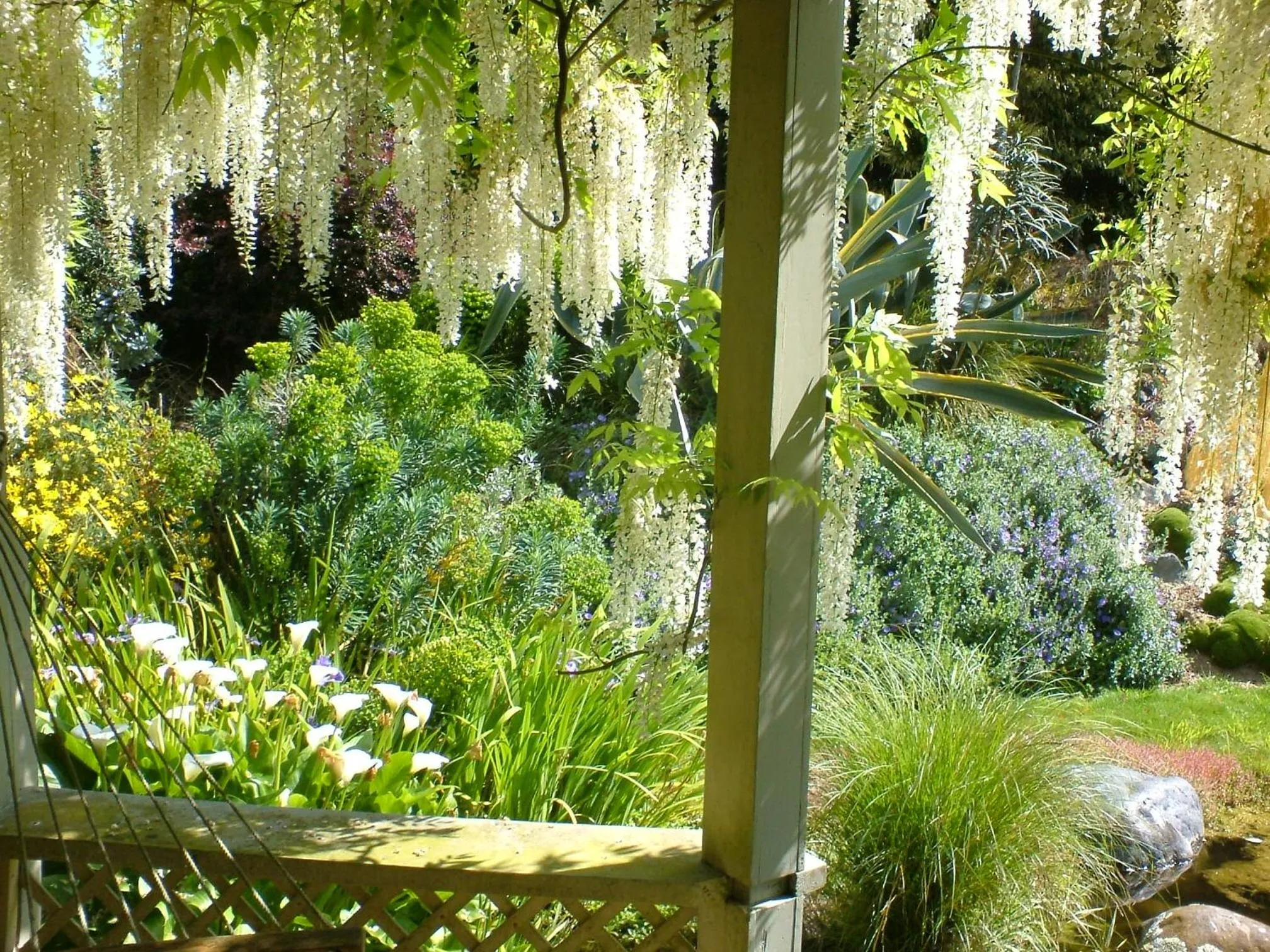 Garden in English Cherry Tree Manor