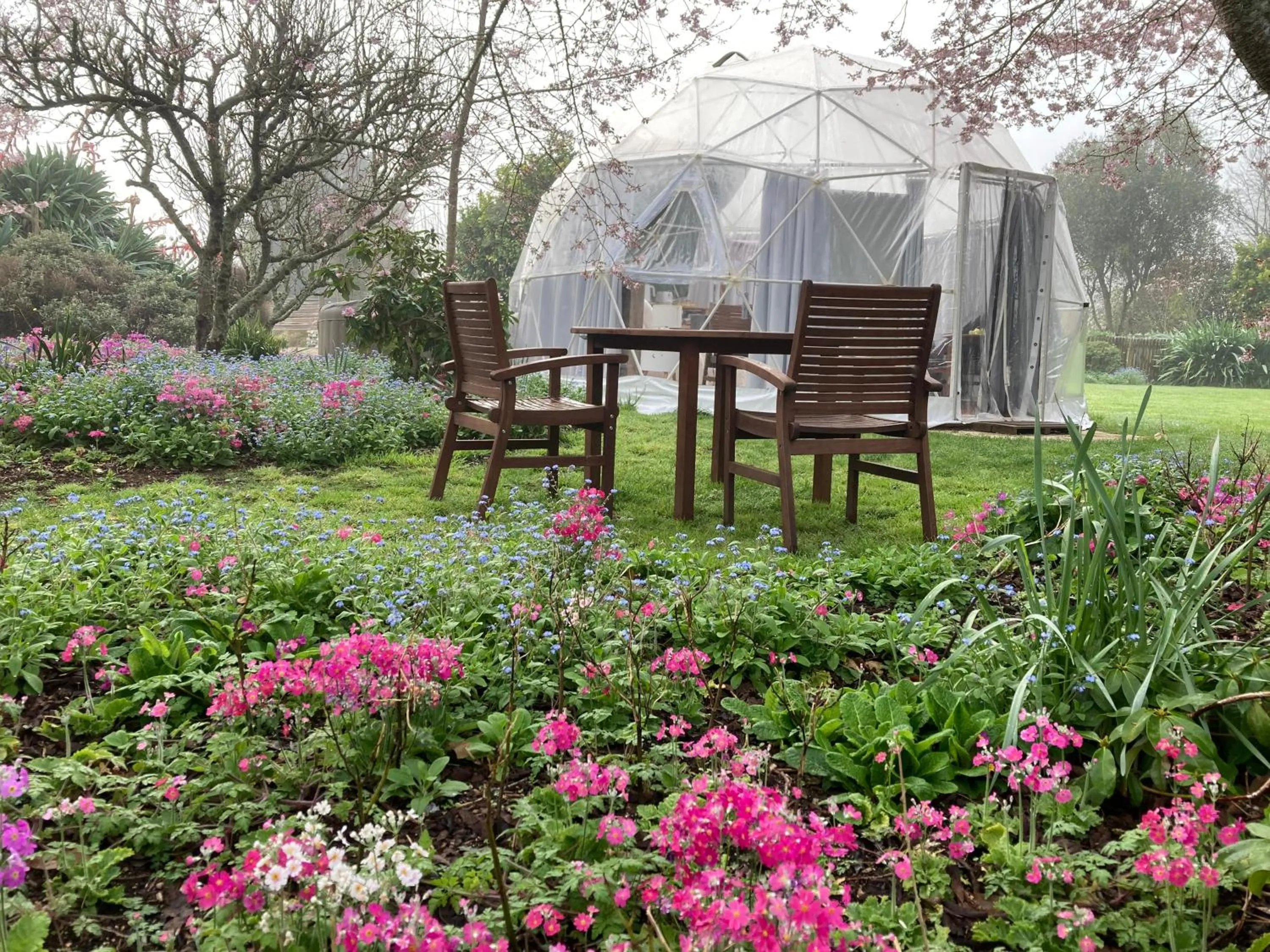 Garden in English Cherry Tree Manor