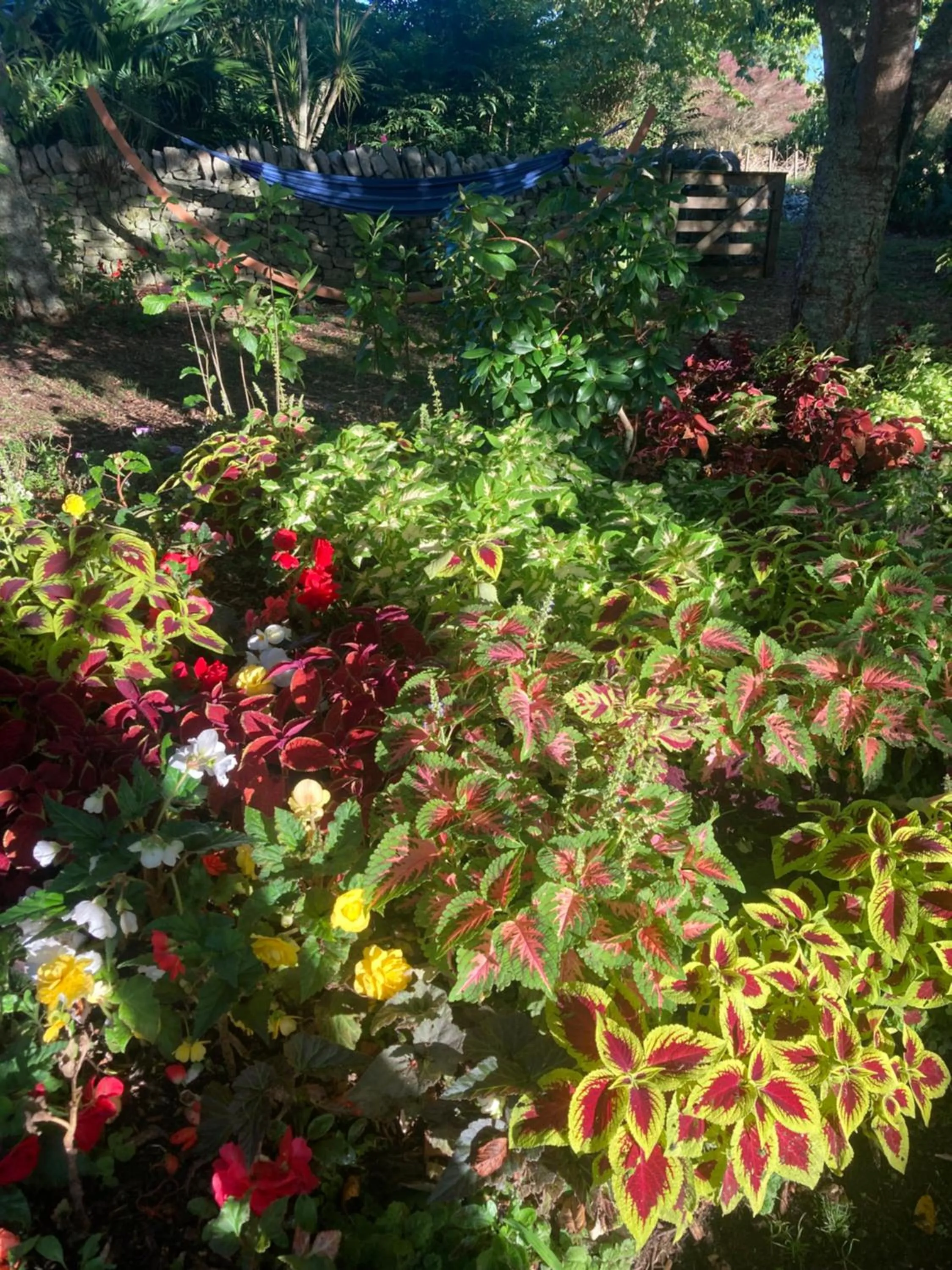 Garden in English Cherry Tree Manor