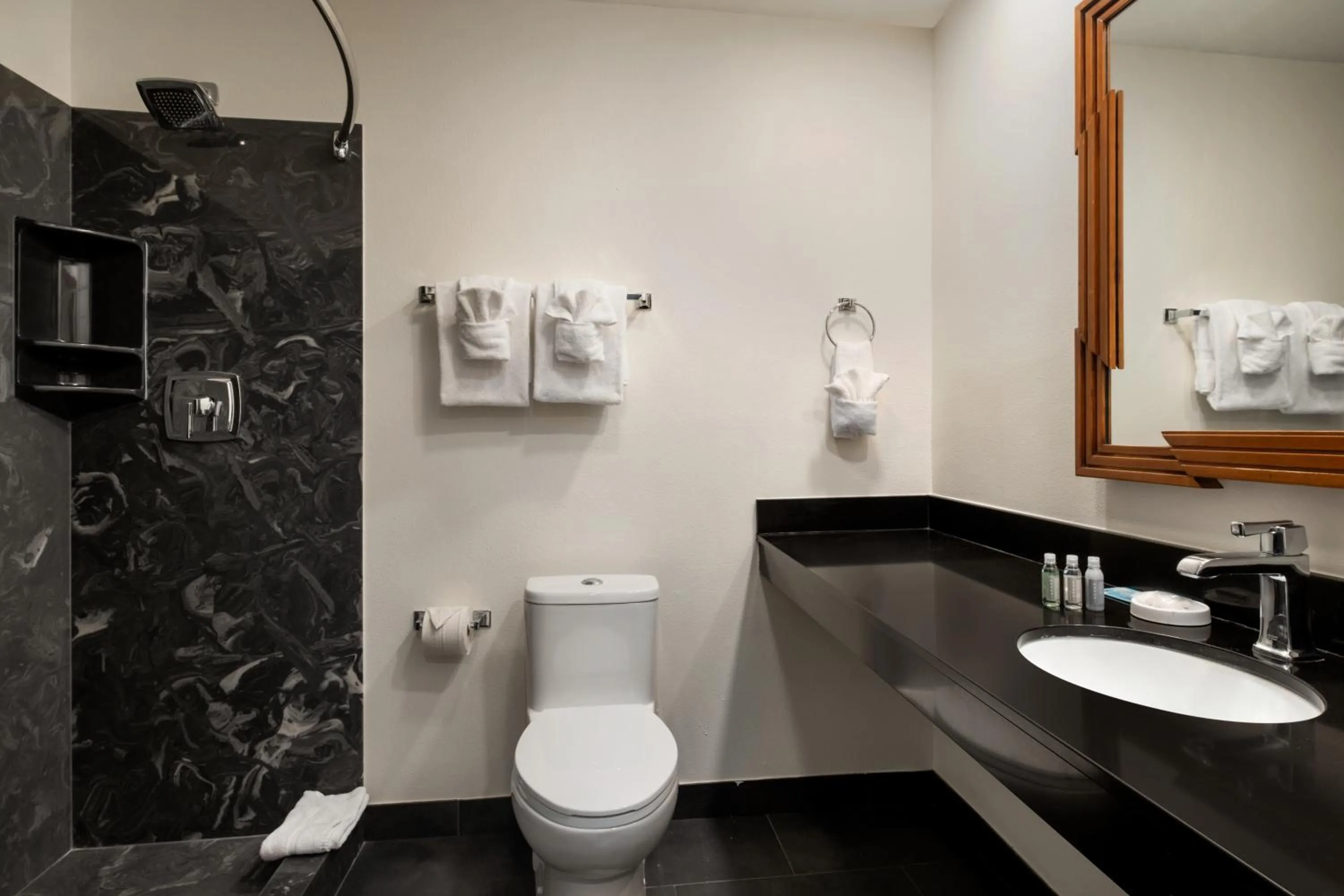 Bathroom in Le Richelieu Hotel in the French Quarter