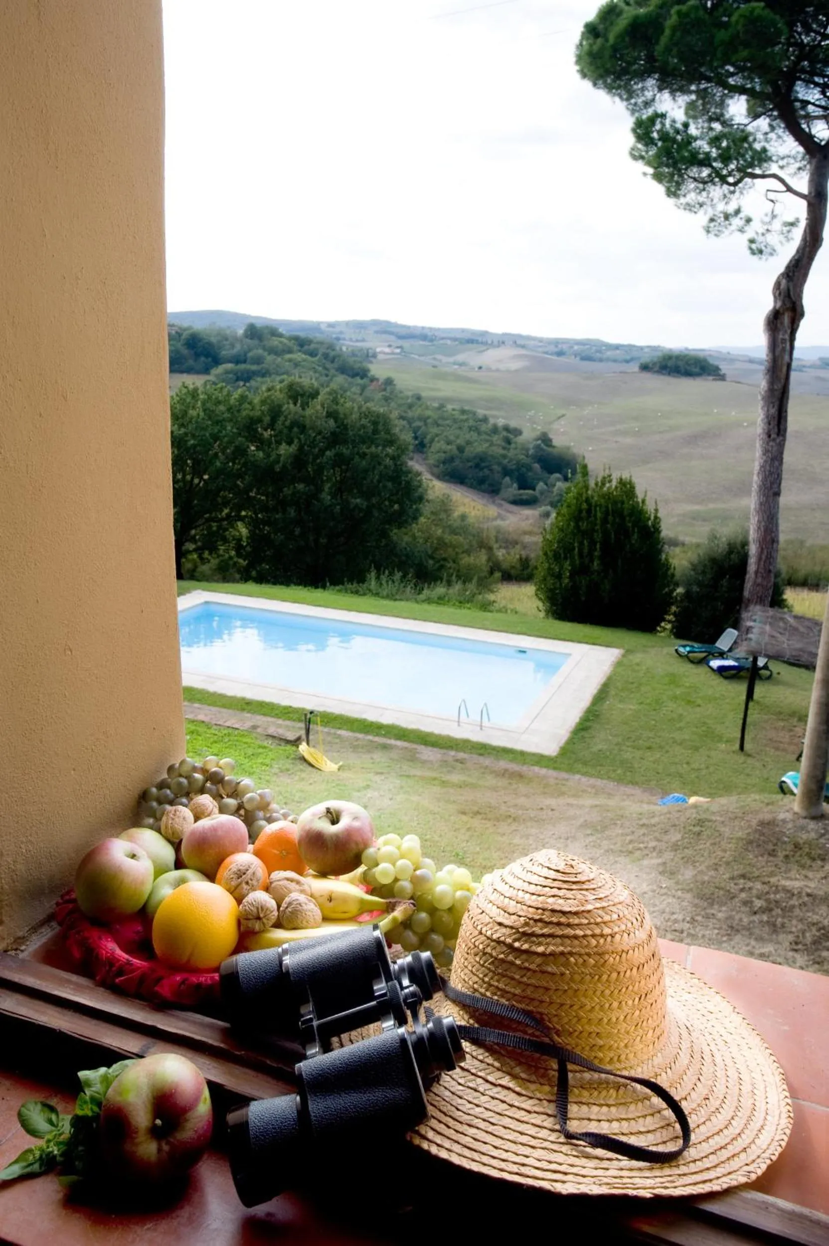 Kitchen or kitchenette in Appartamenti Villa e Fattoria di Radi Tuscany