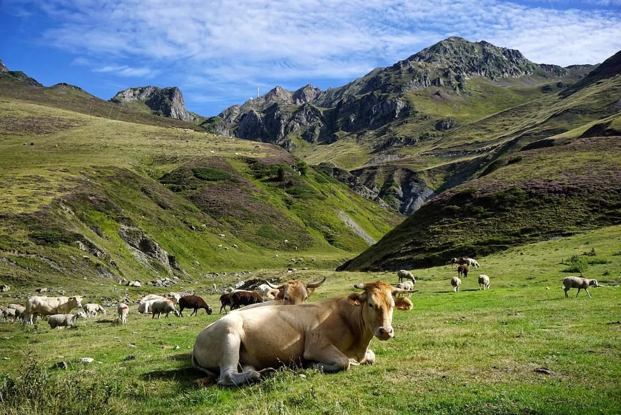 Nearby landmark in Petit Château
