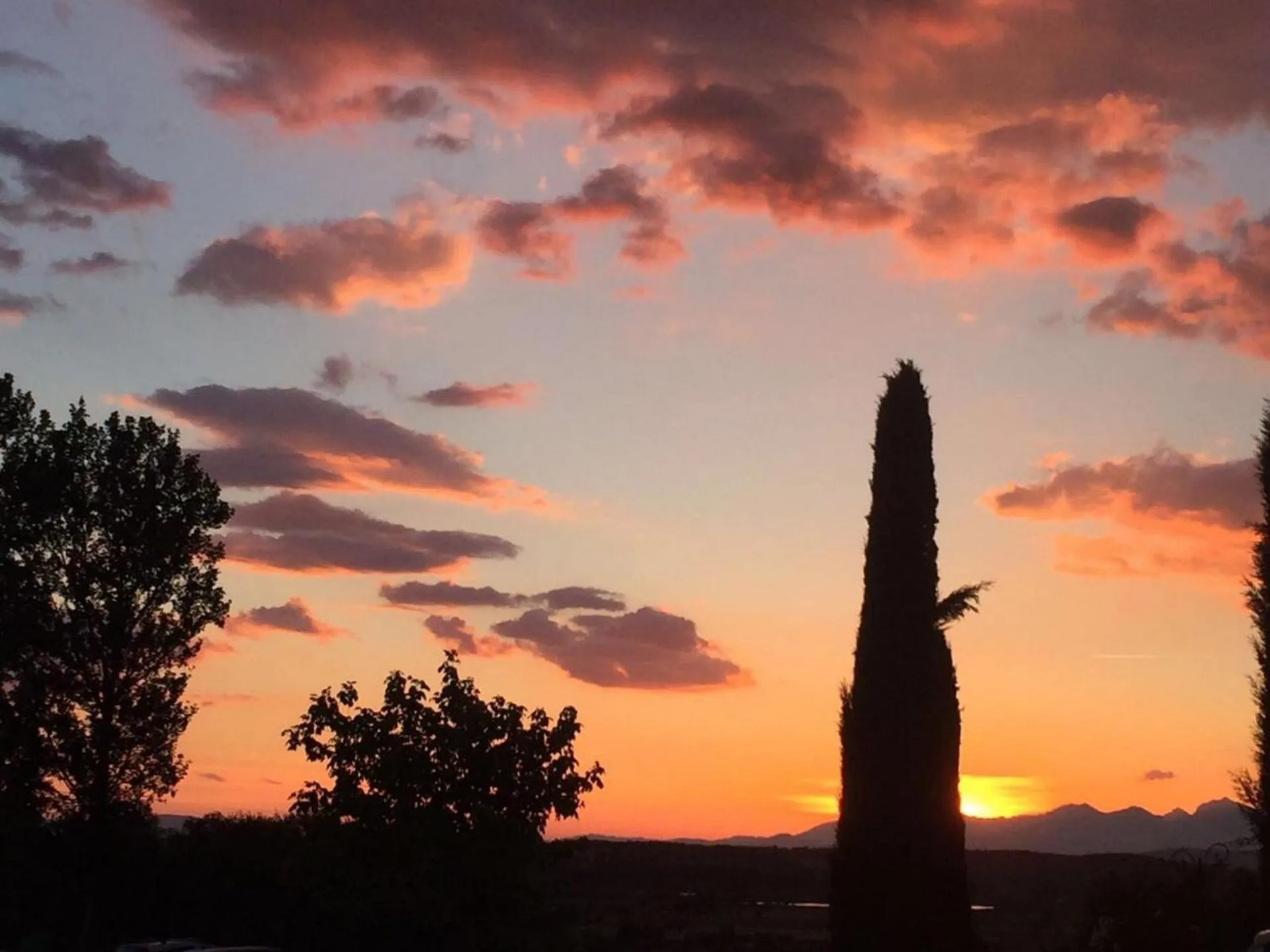 Natural landscape in Agriturismo Musignano
