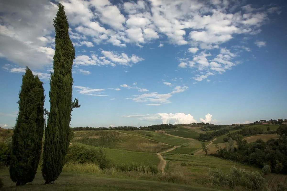 Landmark view in Agriturismo Musignano
