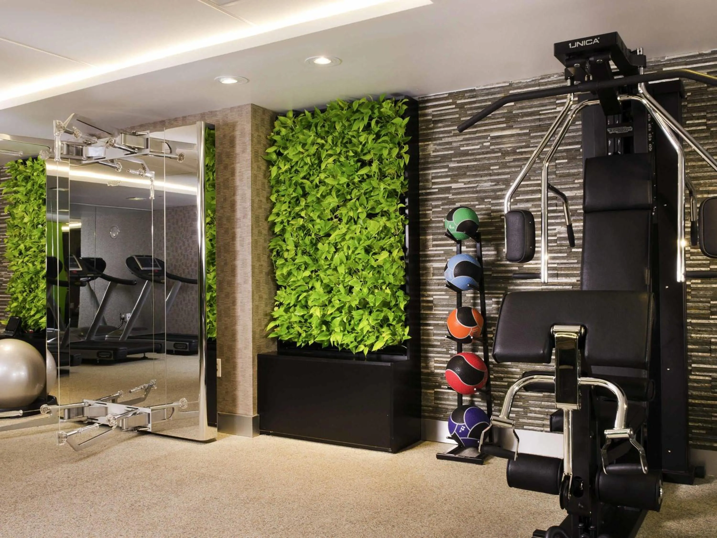 Fitness centre/facilities in Sofitel Lafayette Square Washington DC