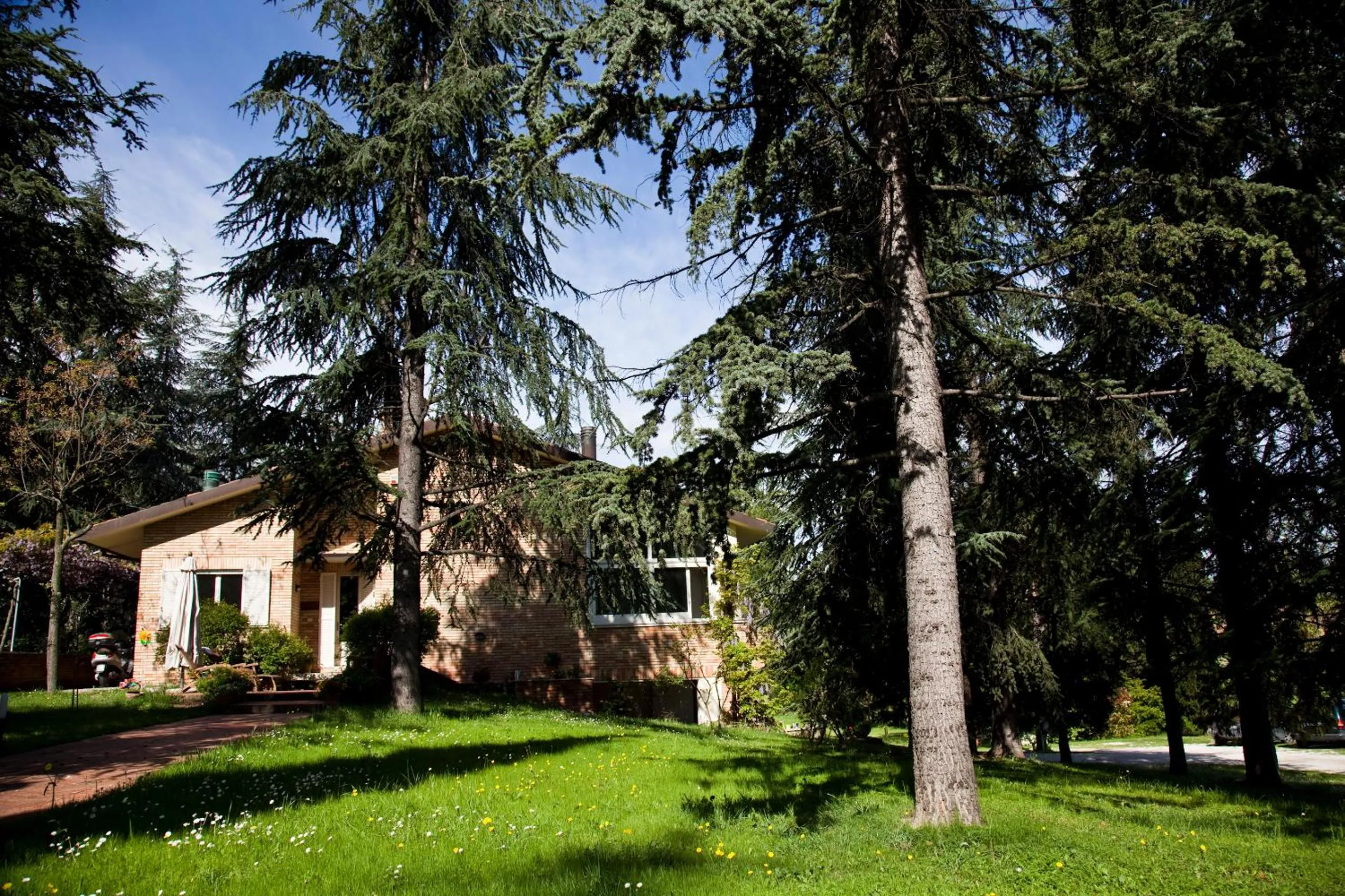 Garden in B&B Mama Rò