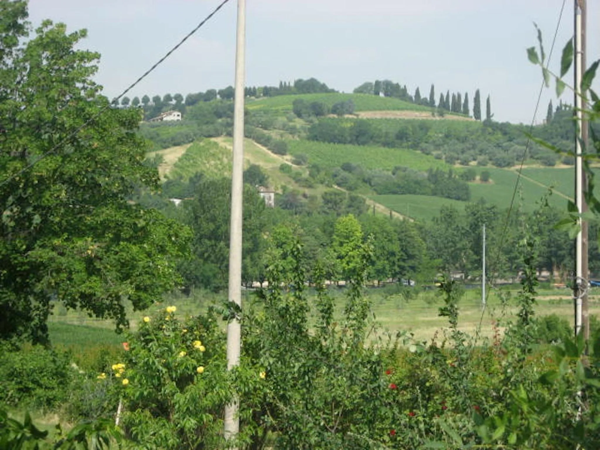 View (from property/room) in B&B Mama Rò
