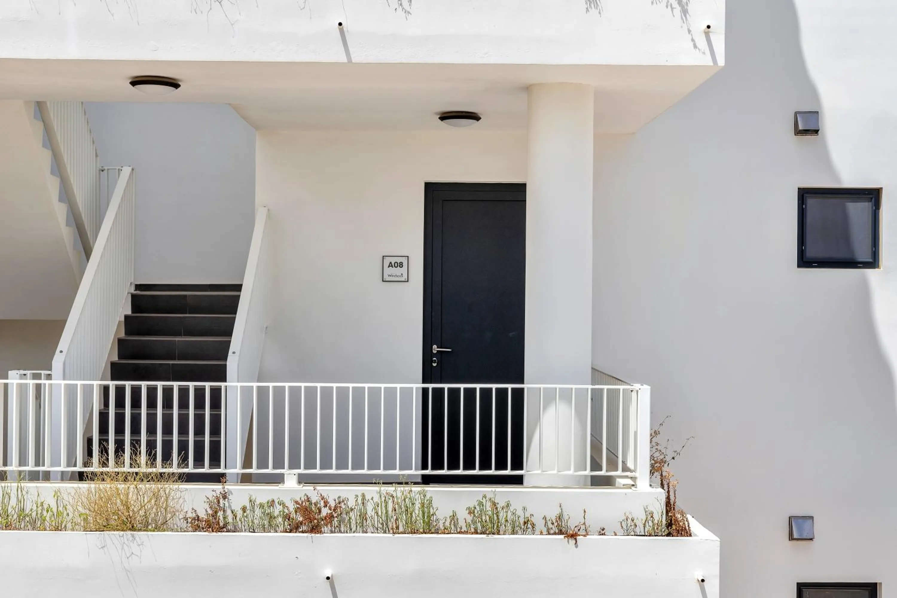 Grand Windsock Bonaire