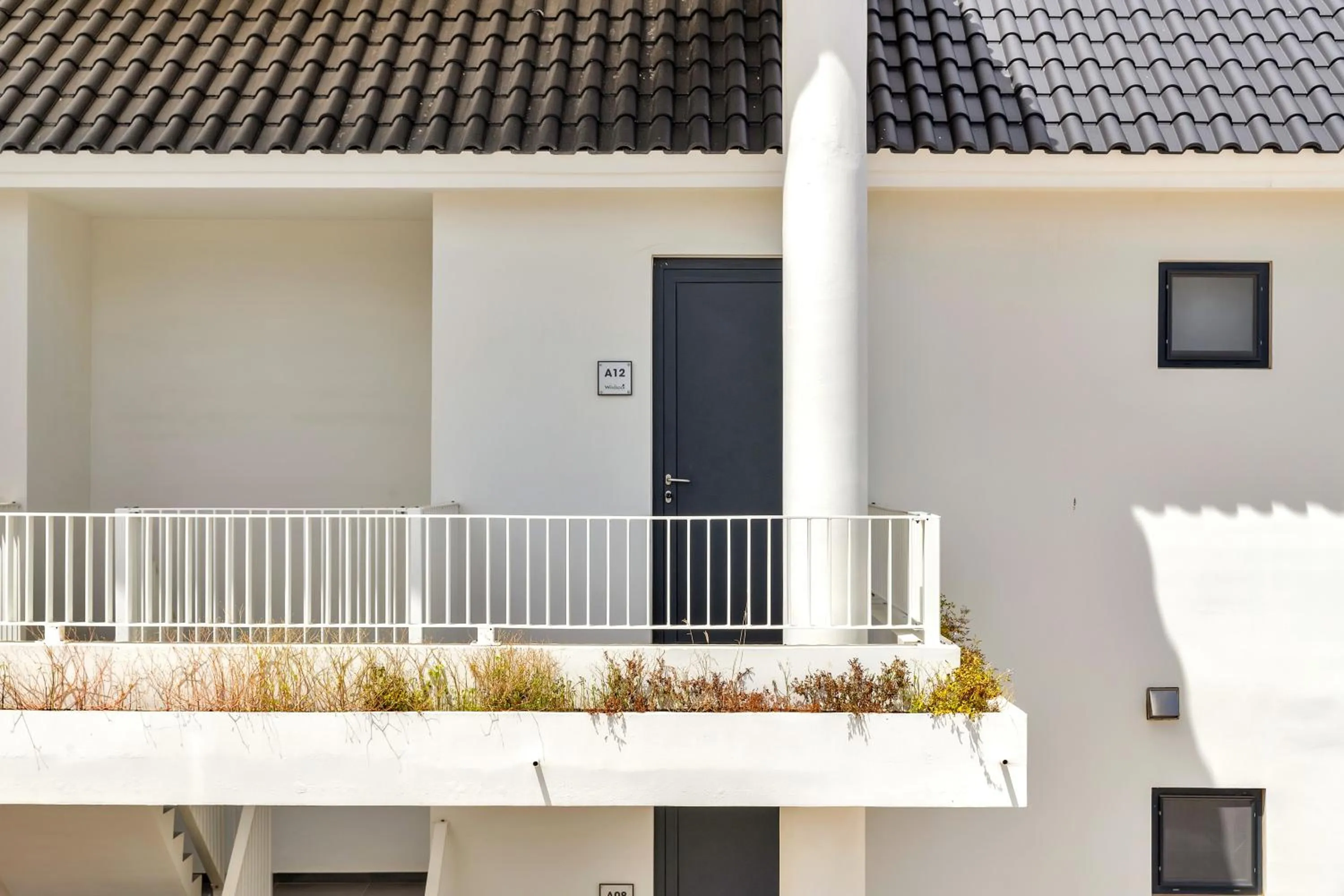 Grand Windsock Bonaire