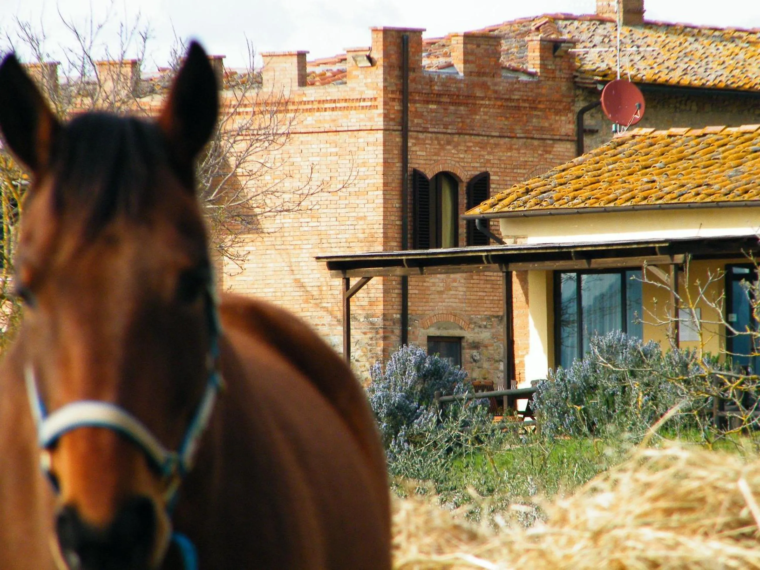 Horse-riding in Agriturismo Montegonfoli
