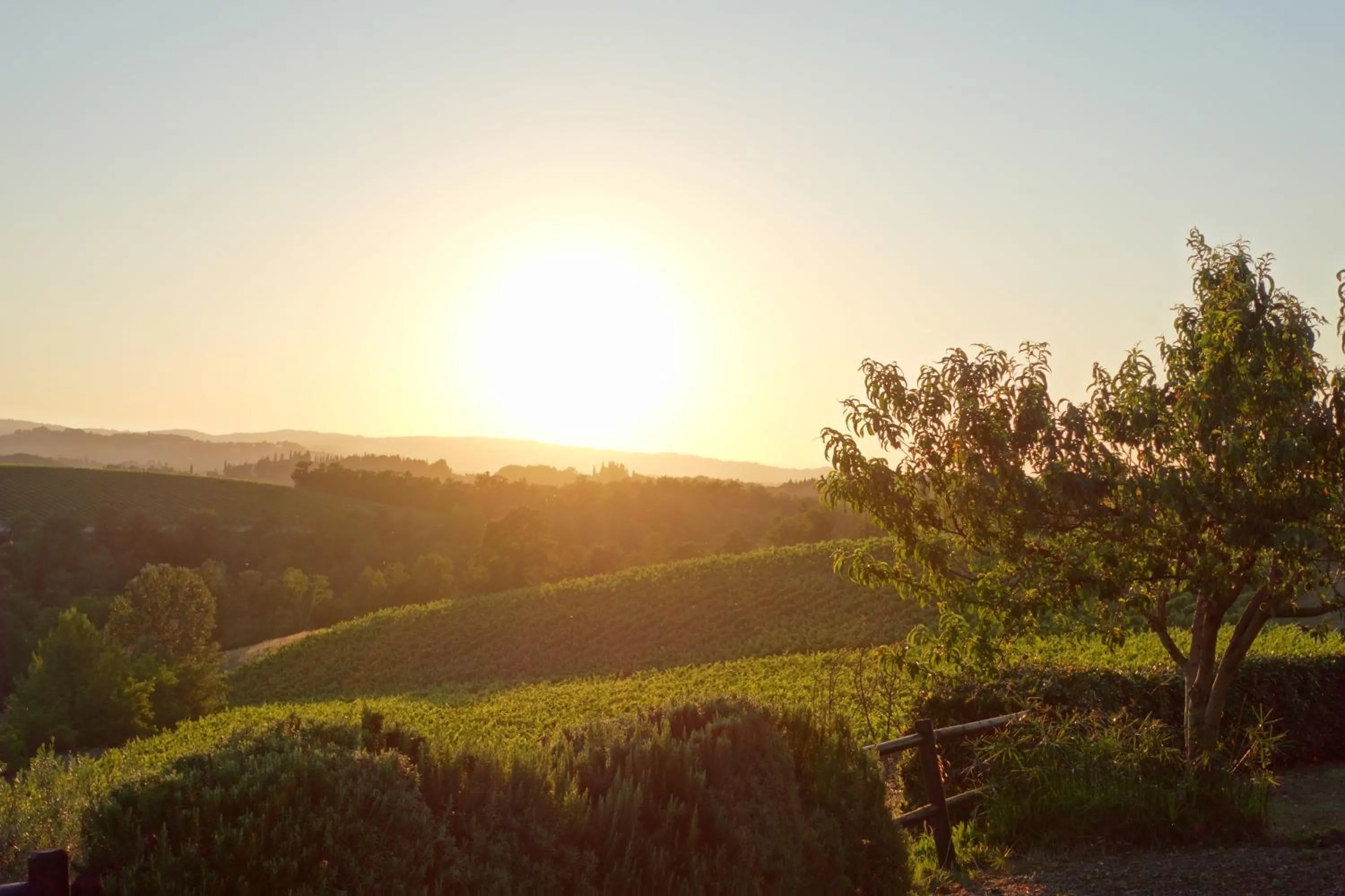 Agriturismo Montegonfoli