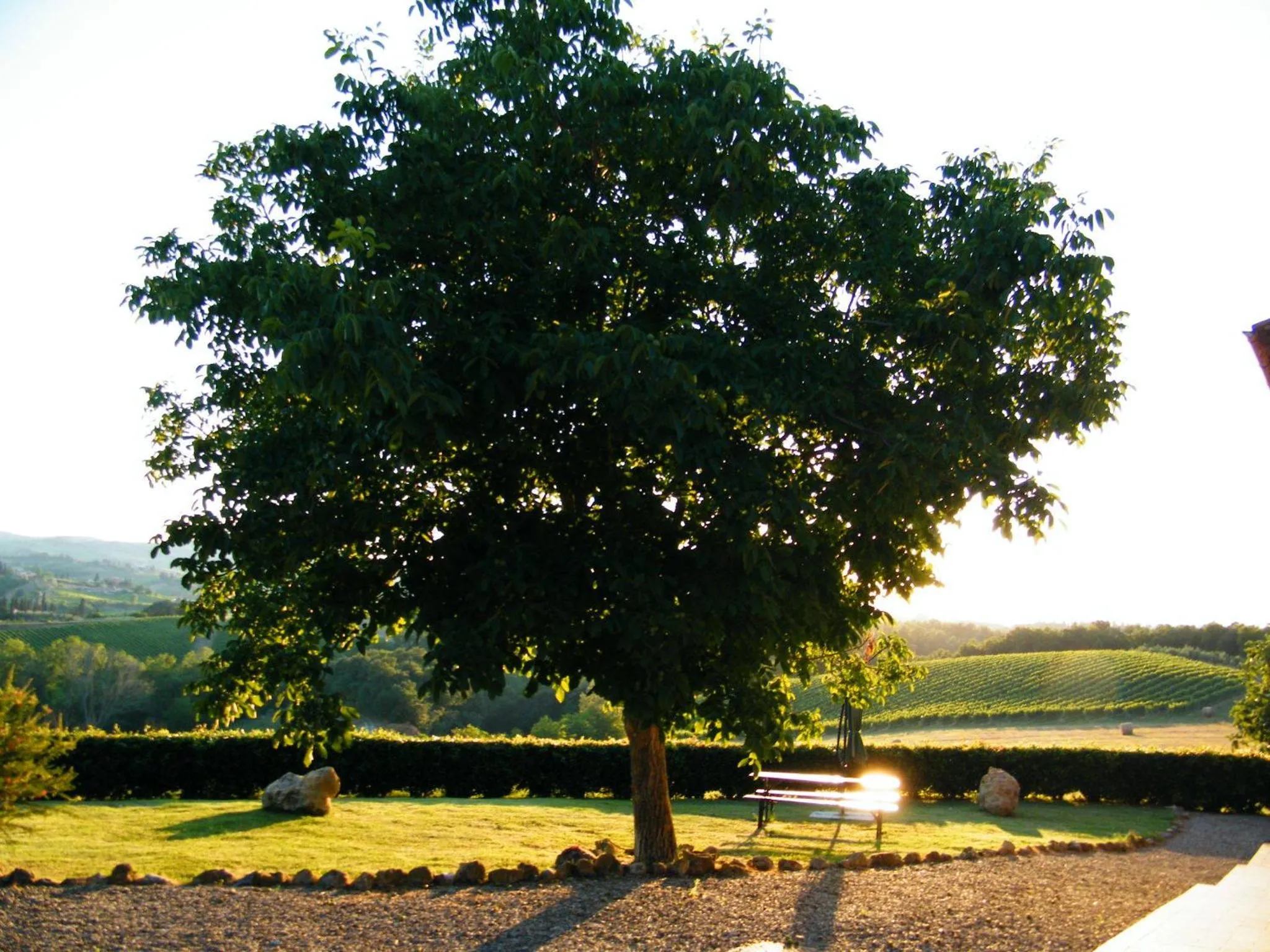 Garden in Agriturismo Montegonfoli