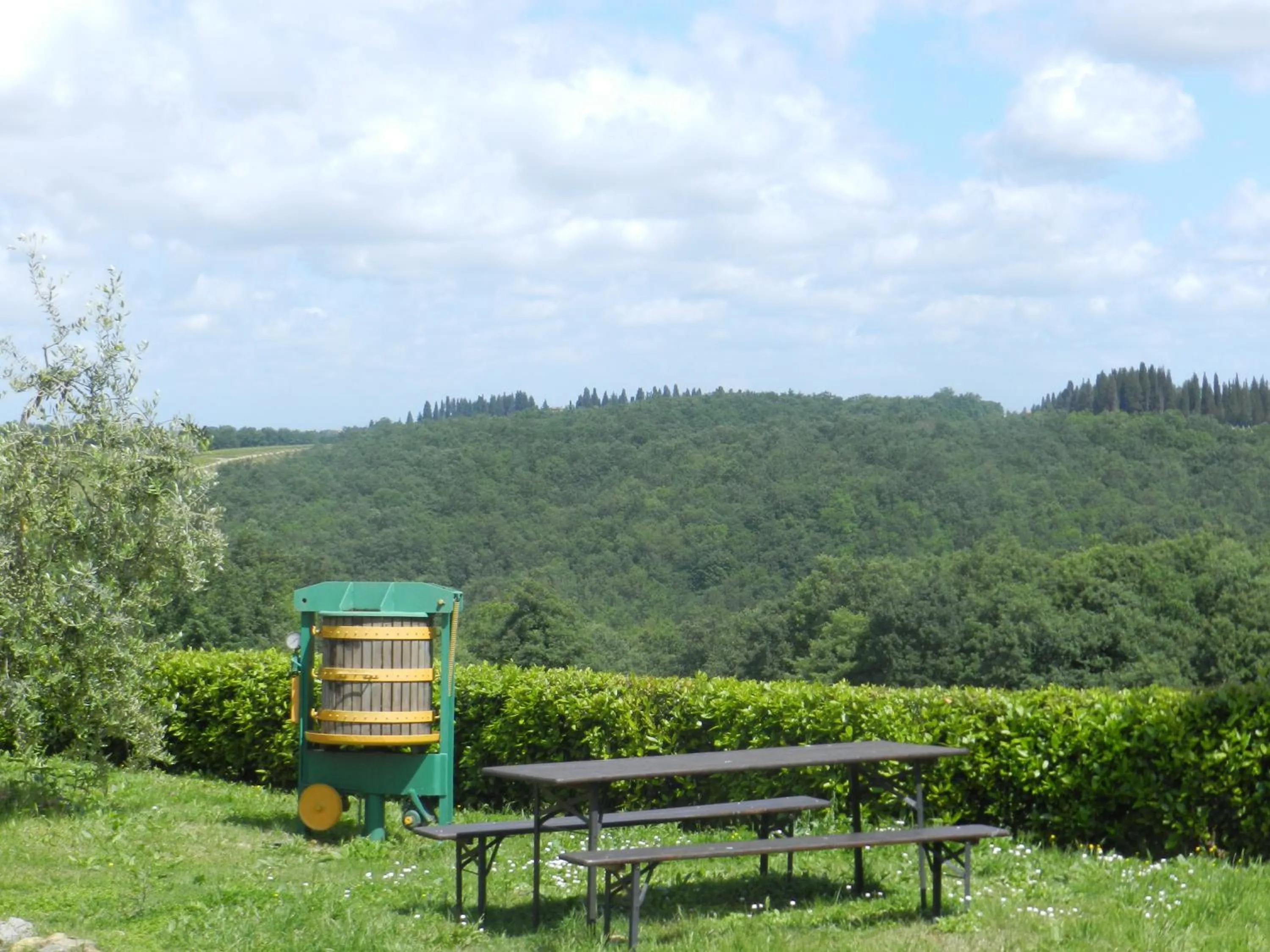 Garden view in Agriturismo Montegonfoli