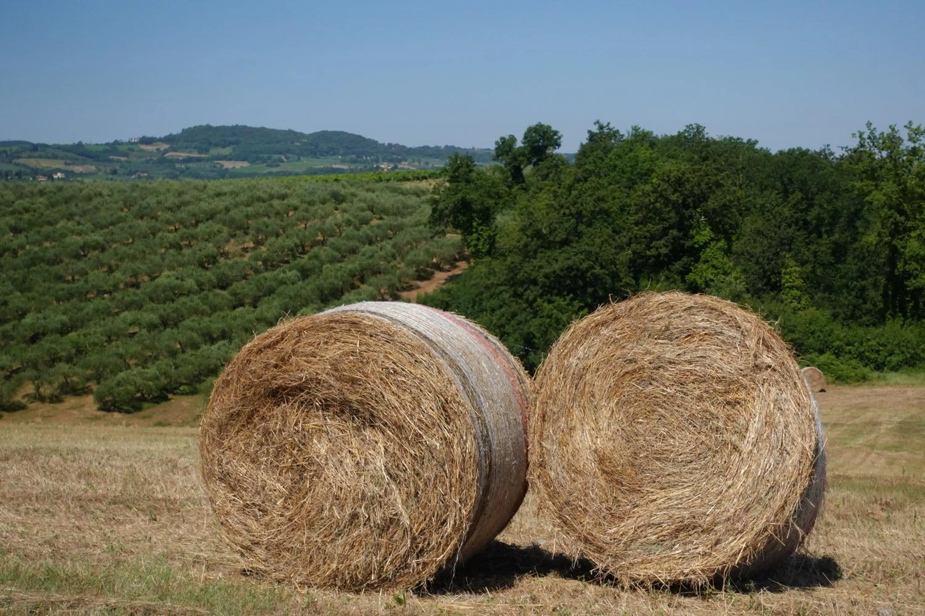 Natural landscape in Agriturismo Montegonfoli