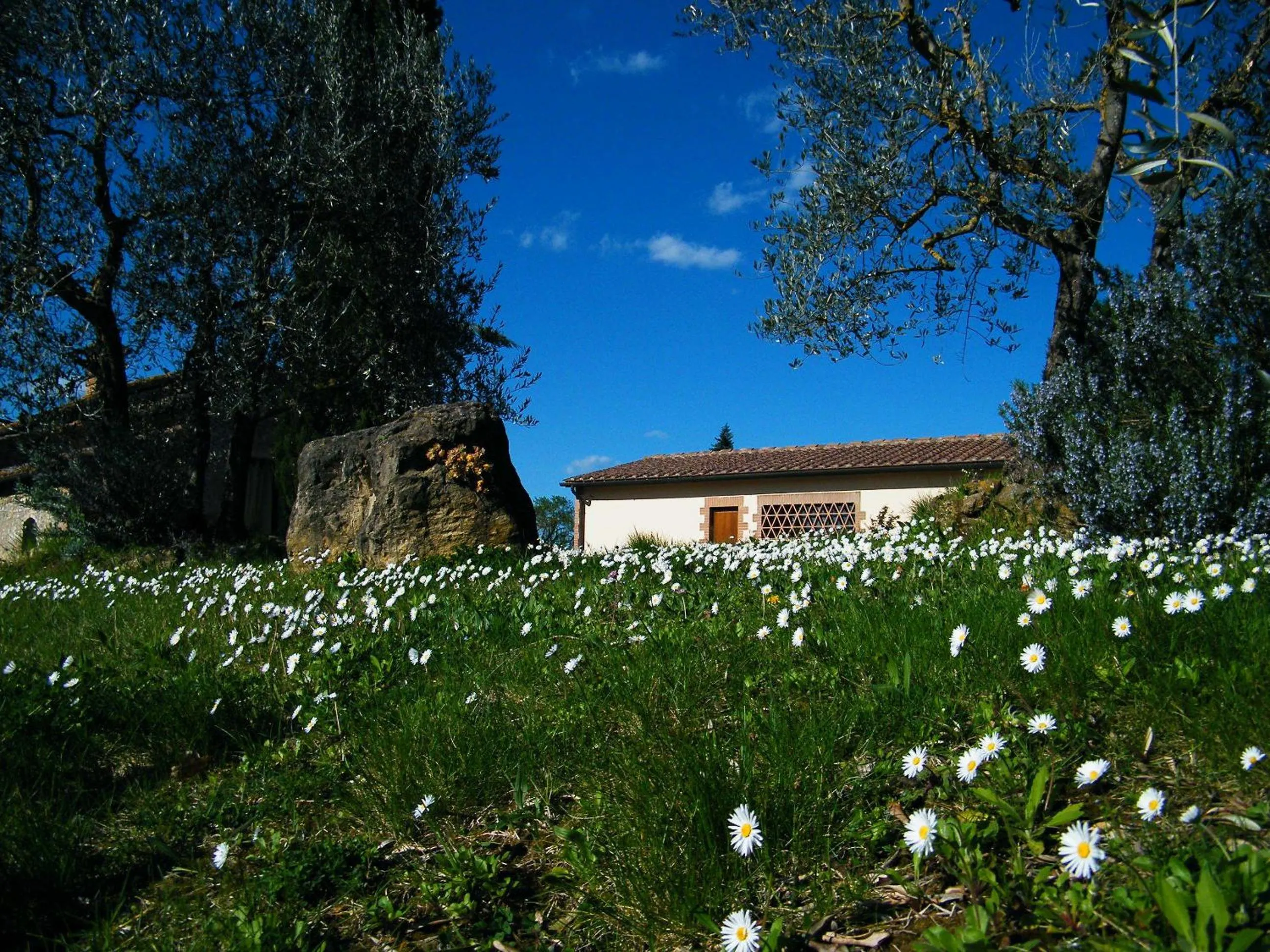 Garden in Agriturismo Montegonfoli