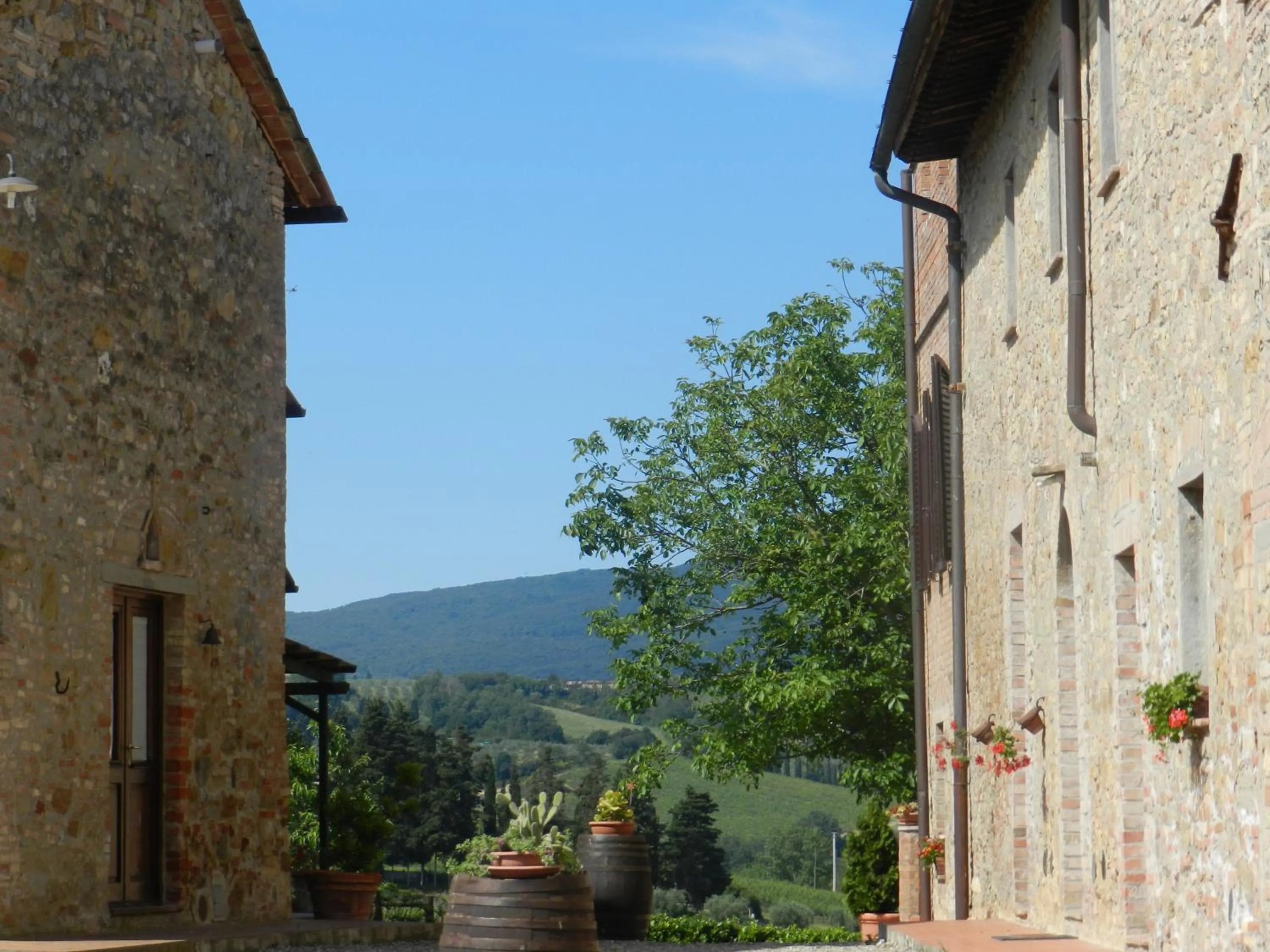 Property building in Agriturismo Montegonfoli