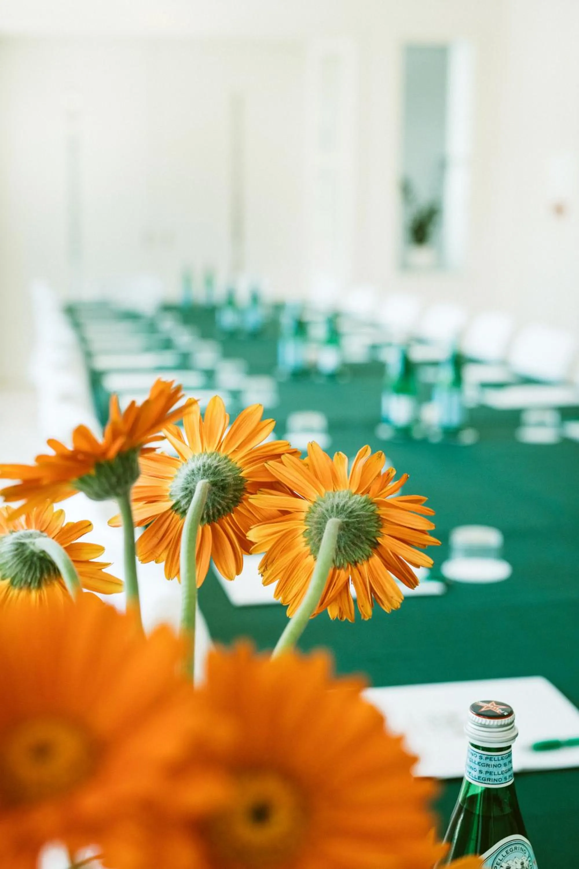 Activities in Hotel Parco