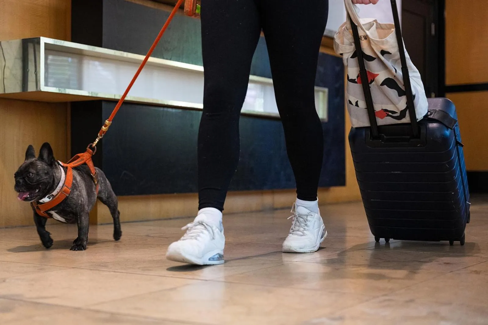 pet friendly in The River Inn