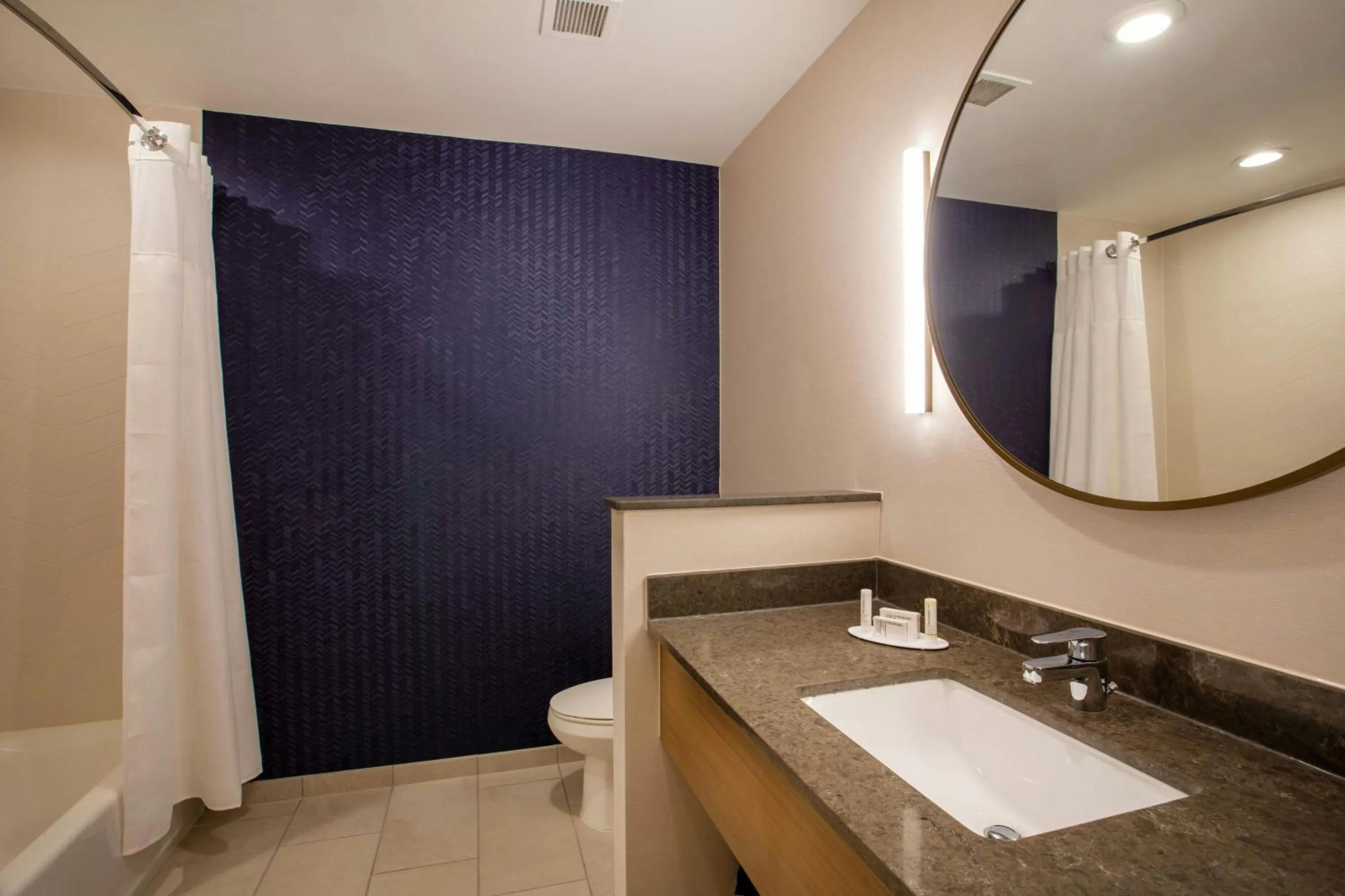 Bathroom in Fairfield Inn & Suites by Marriott Greenville Spartanburg/Duncan