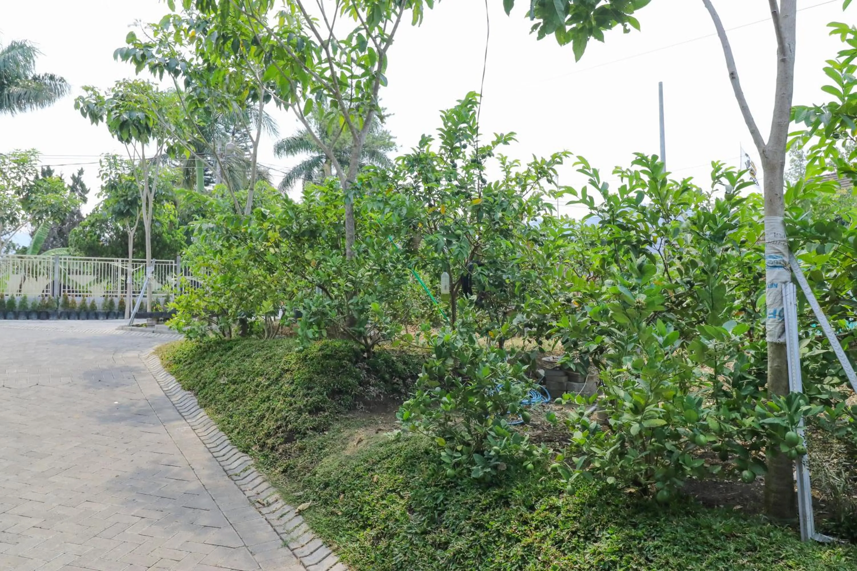 Property building in Griya Mulya near Alun Alun Batu Mitra RedDoorz