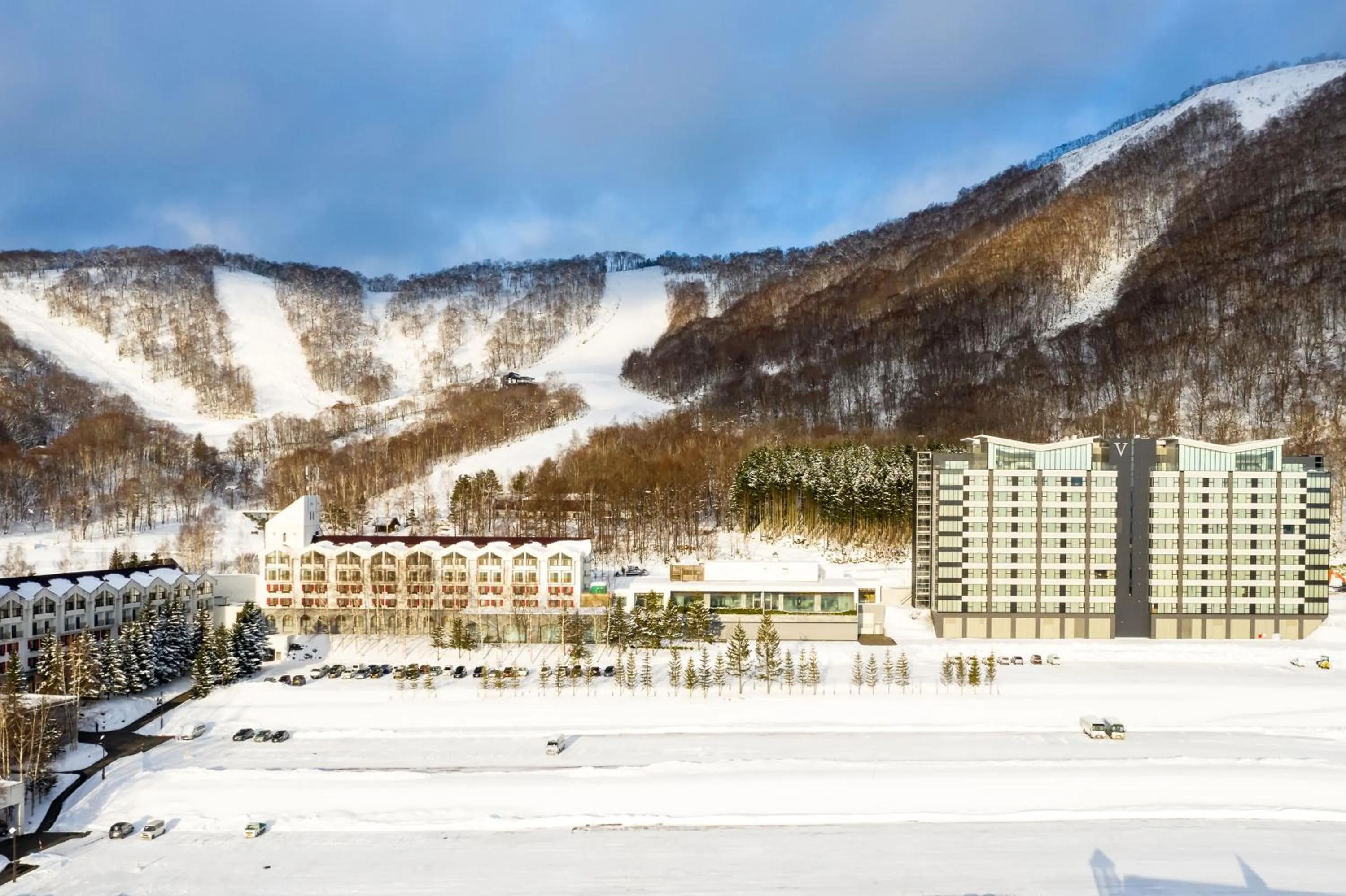 Property building in The Vale Rusutsu