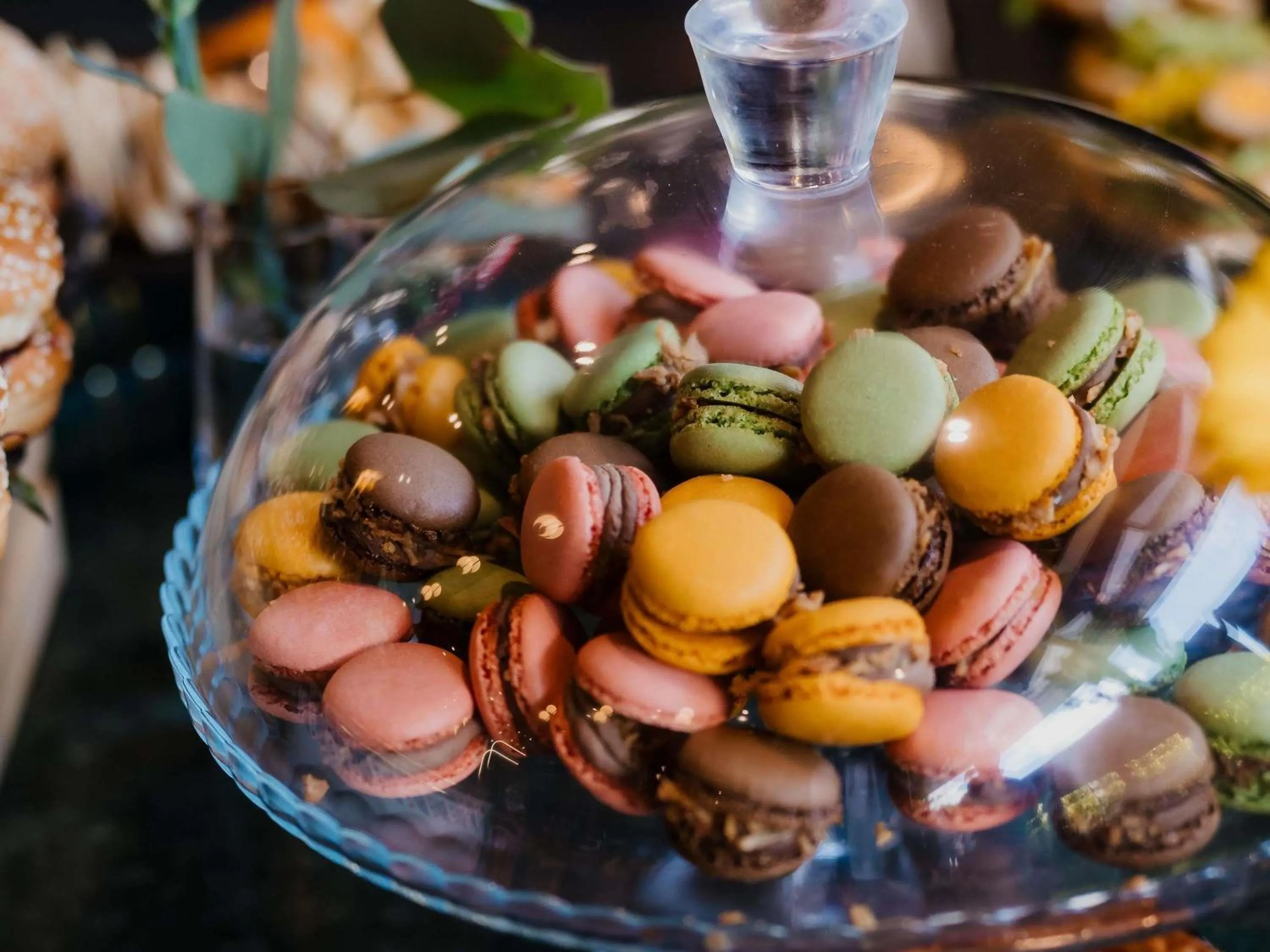 Property building in Mercure Timisoara