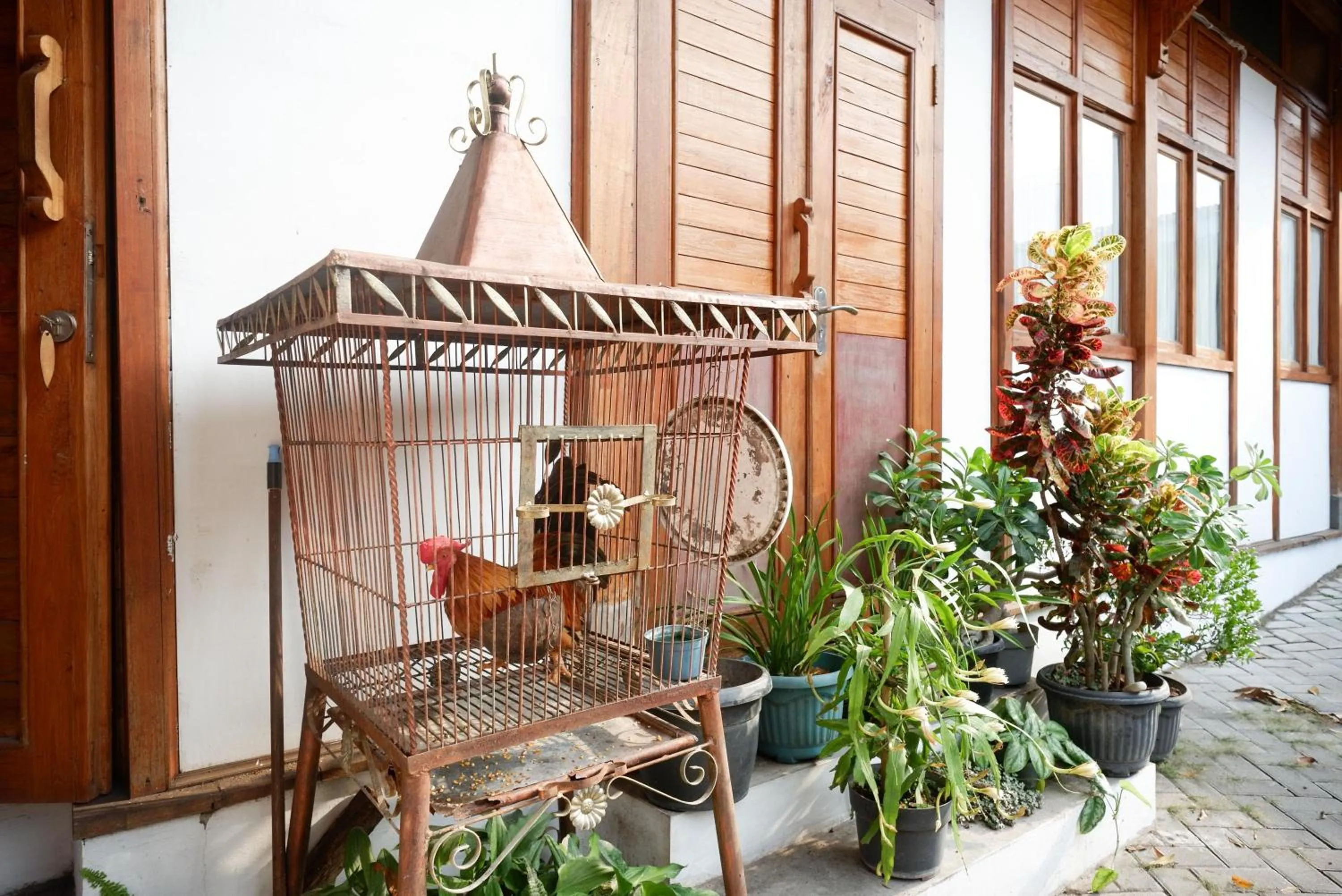 Garden in RedDoorz near Plengkung Gading 2