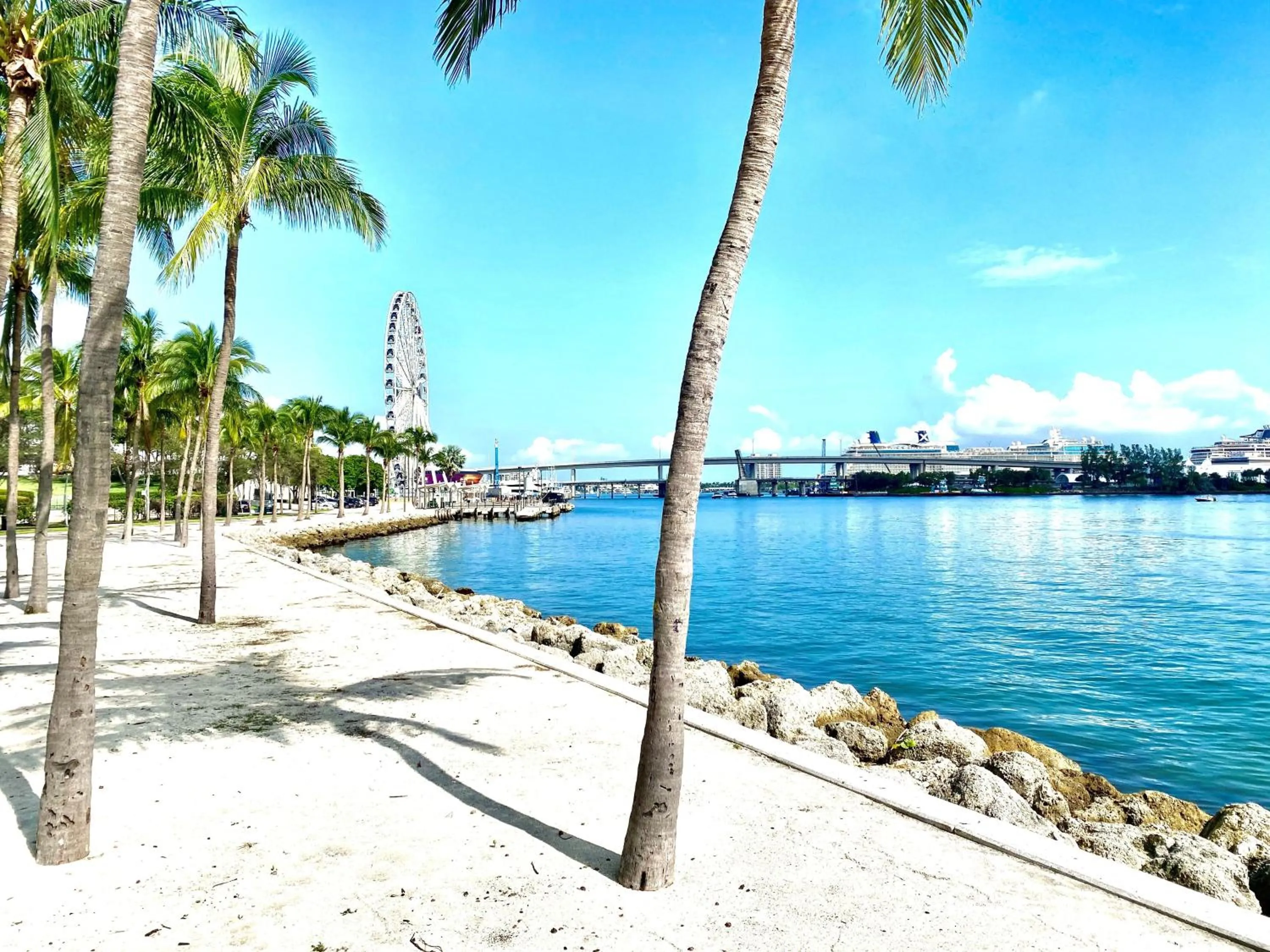 Nearby landmark in Hotel Indigo Miami Brickell by IHG