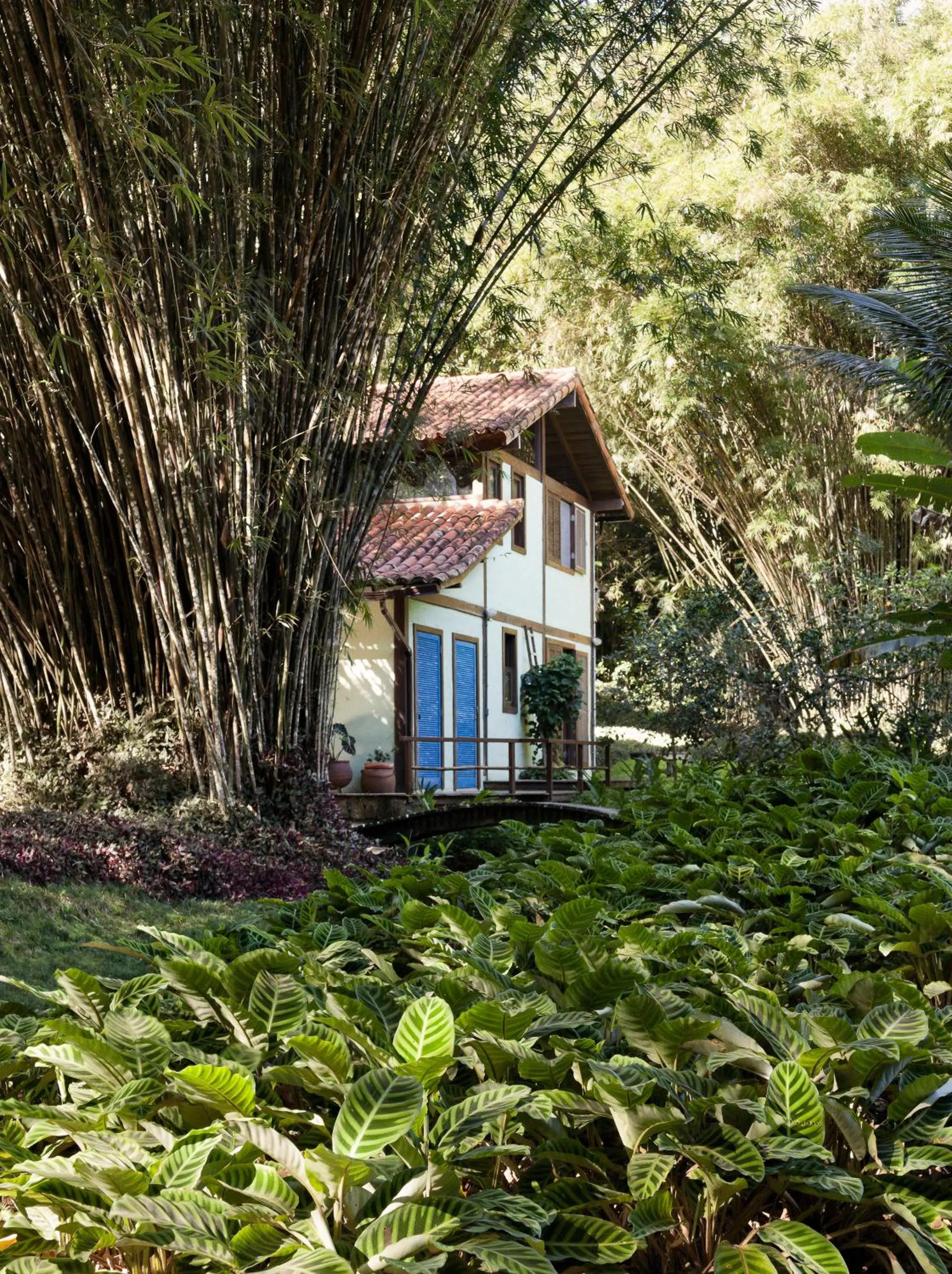 O Sitio - Ilha Grande