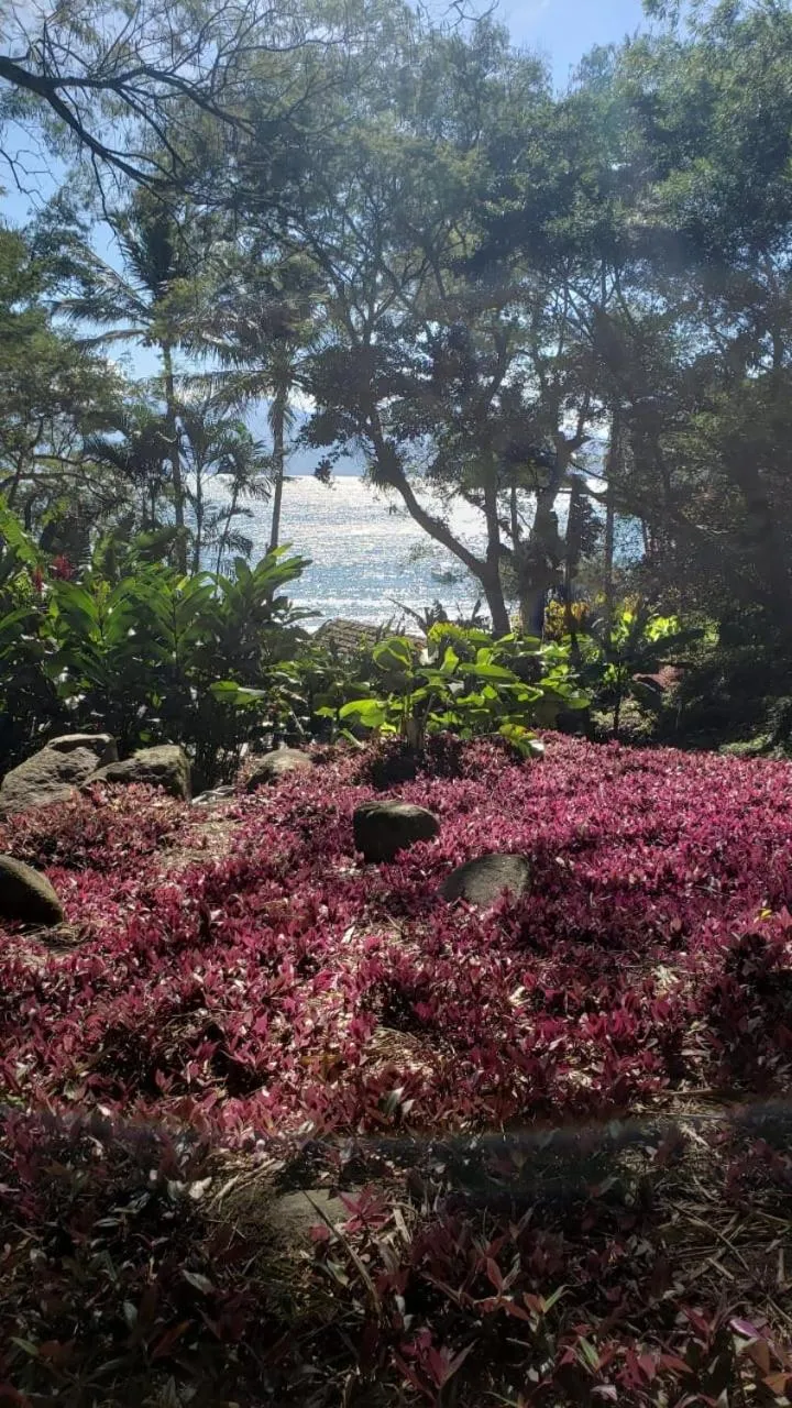 O Sitio - Ilha Grande
