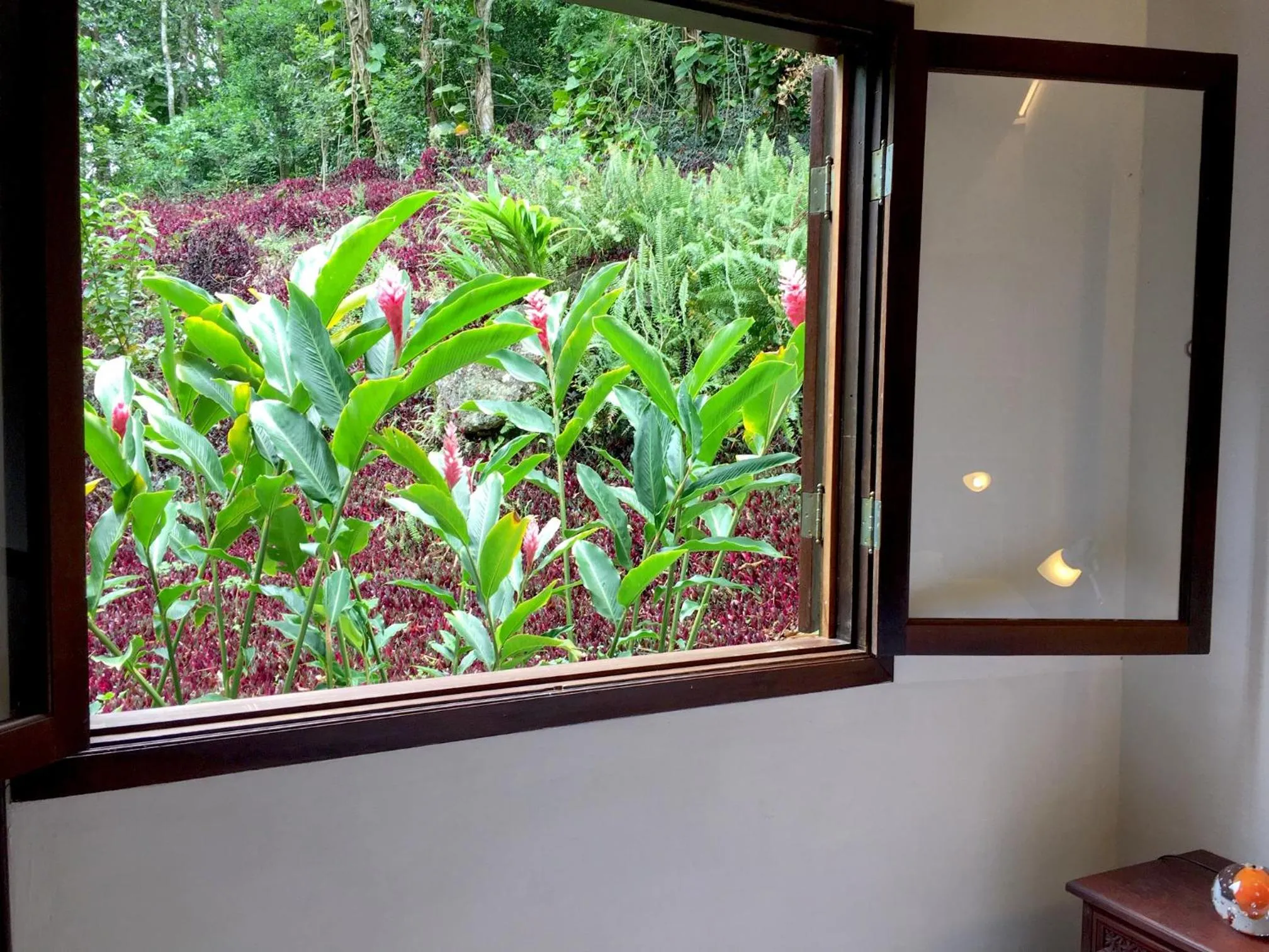 Garden view in O Sitio - Ilha Grande