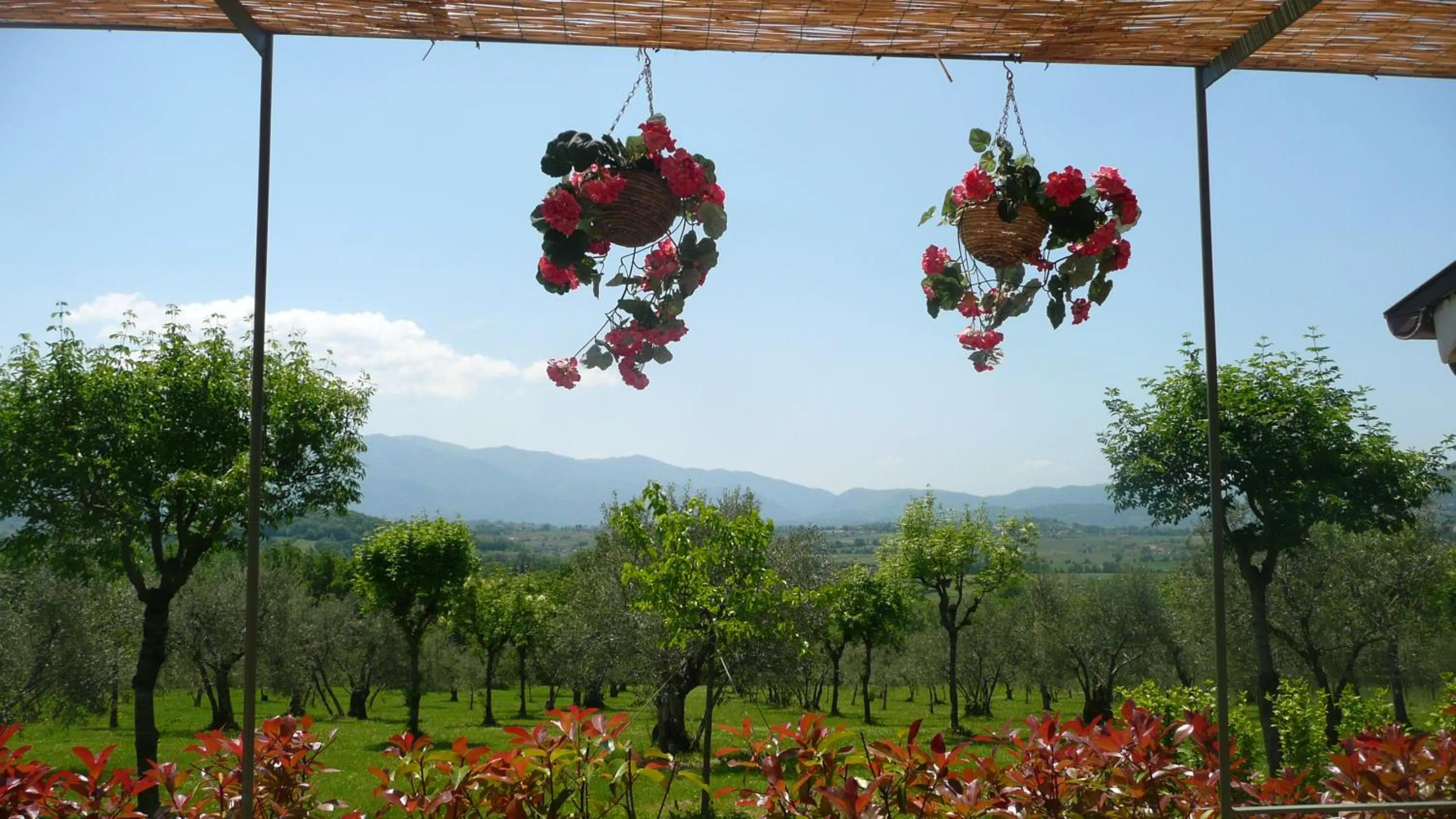 View (from property/room) in Il Bruco appartamenti in b&b
