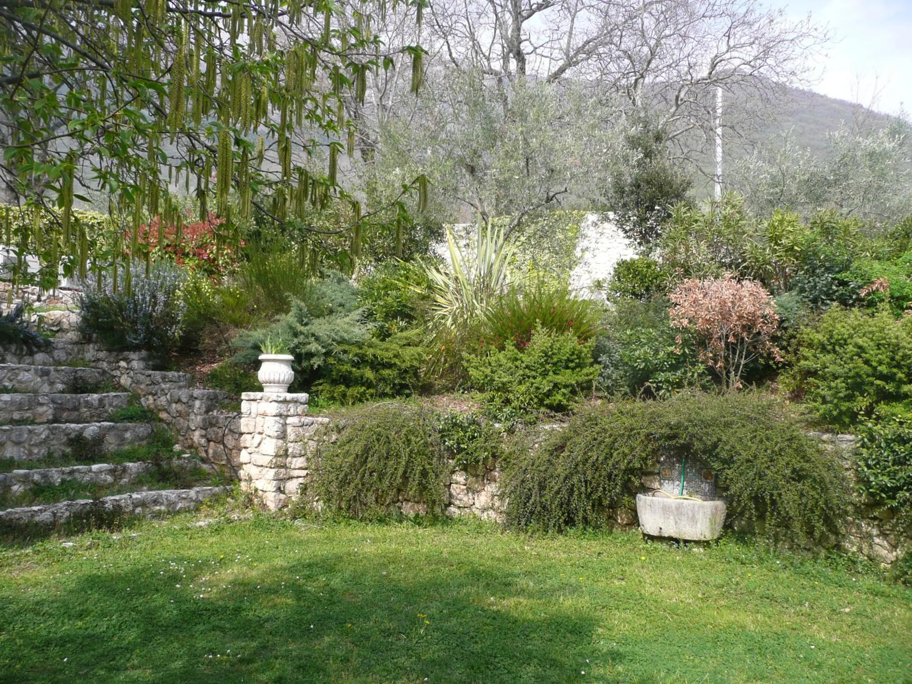 Il Bruco appartamenti in b&b