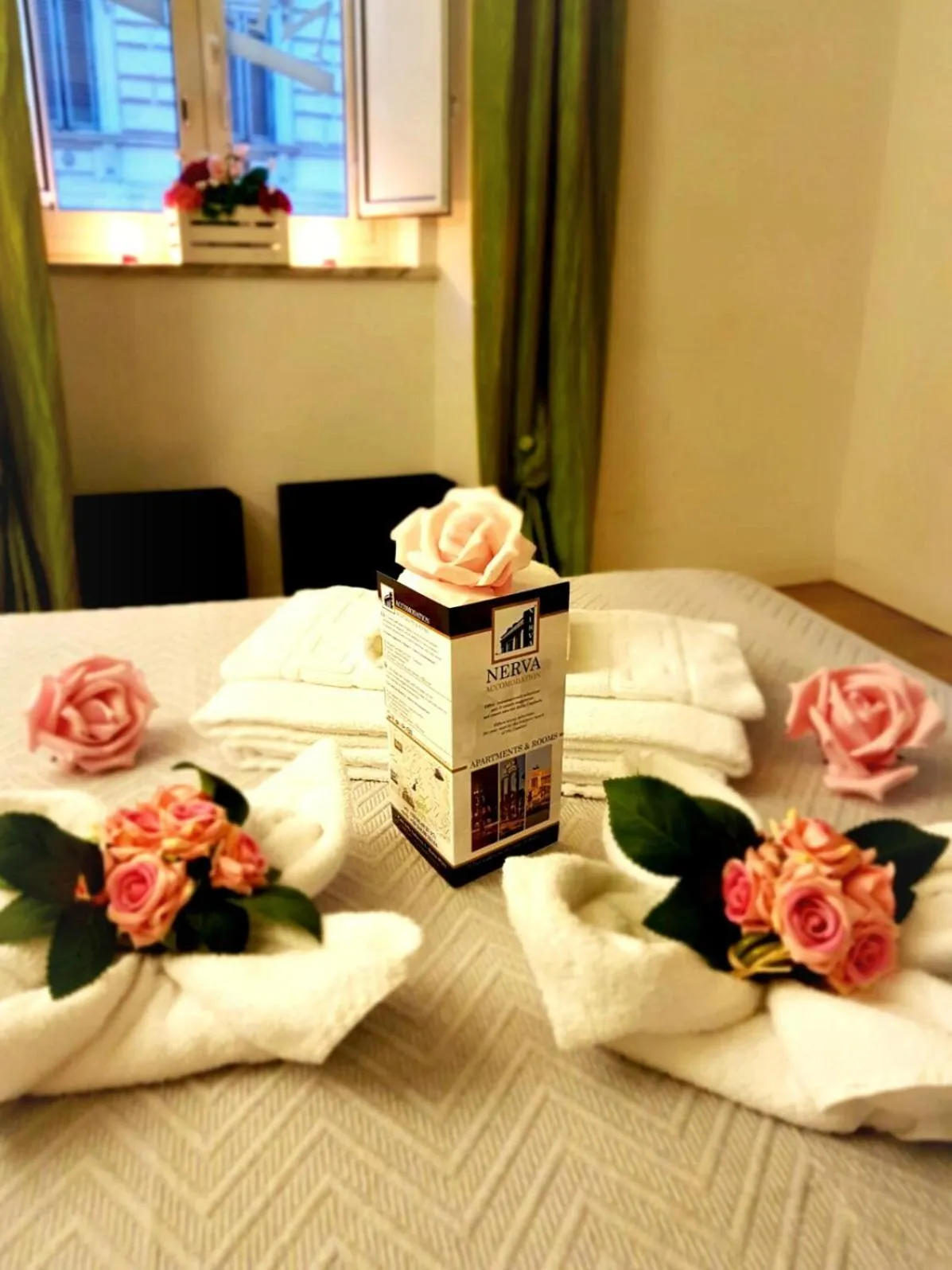 Other in Nerva Accommodation