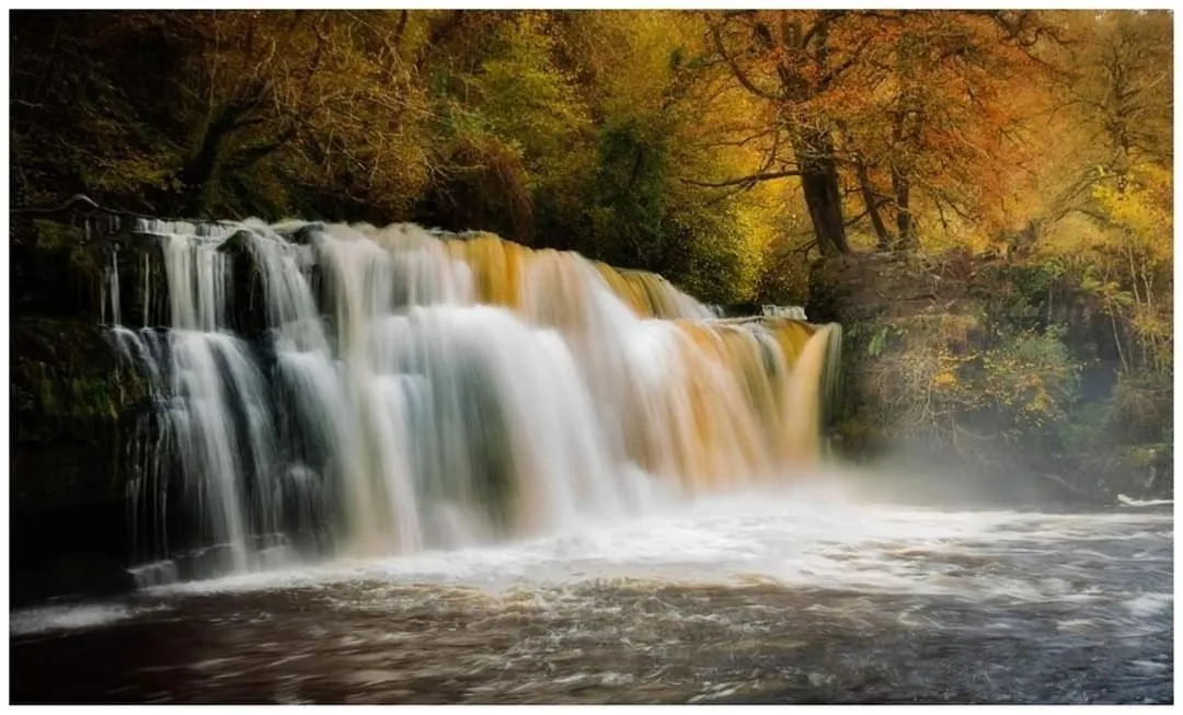 Natural landscape in James’ Place @ Bike Park Wales and The Brecon Beacons