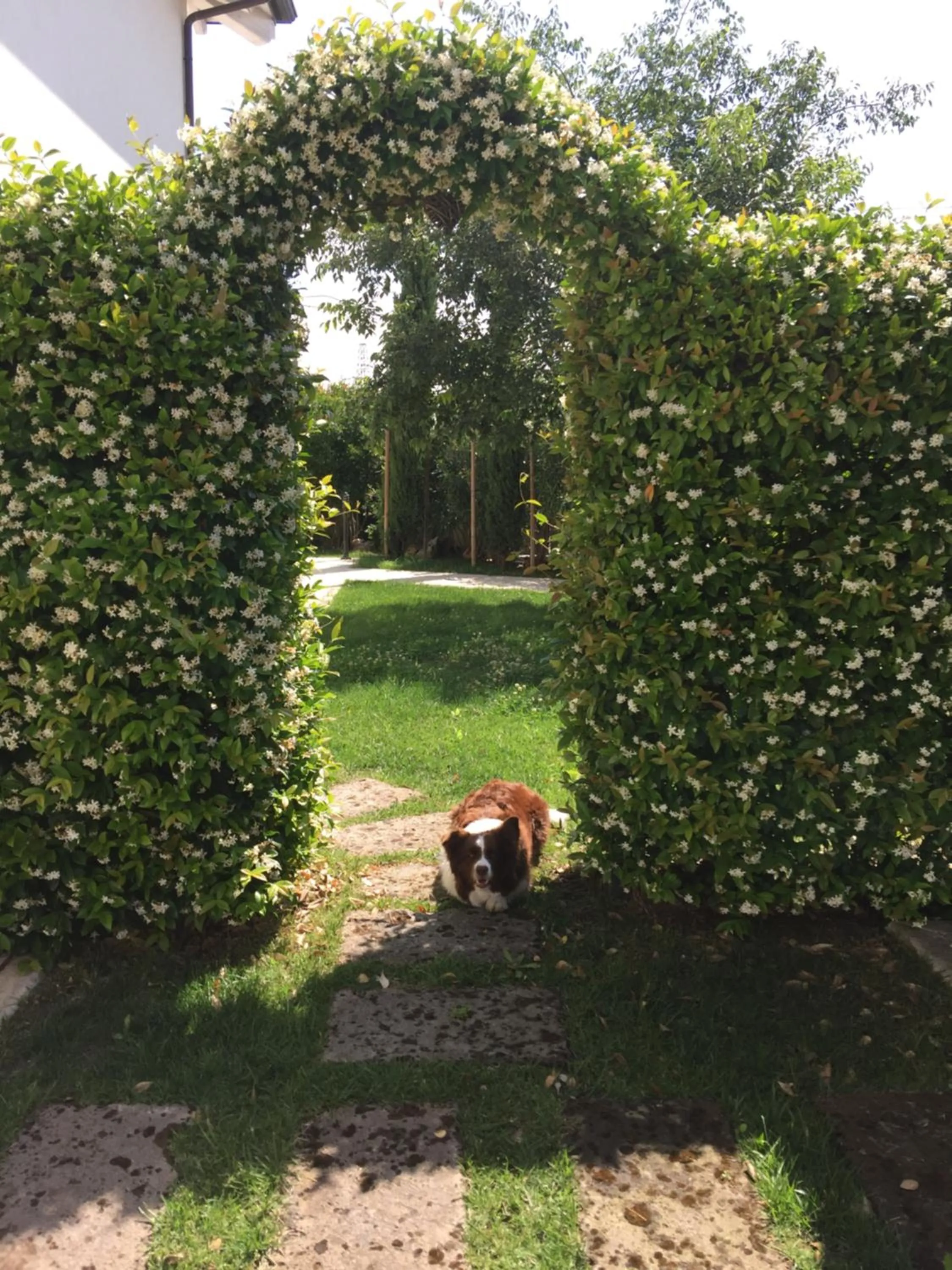 Property building in Bed & Breakfast Case Osti