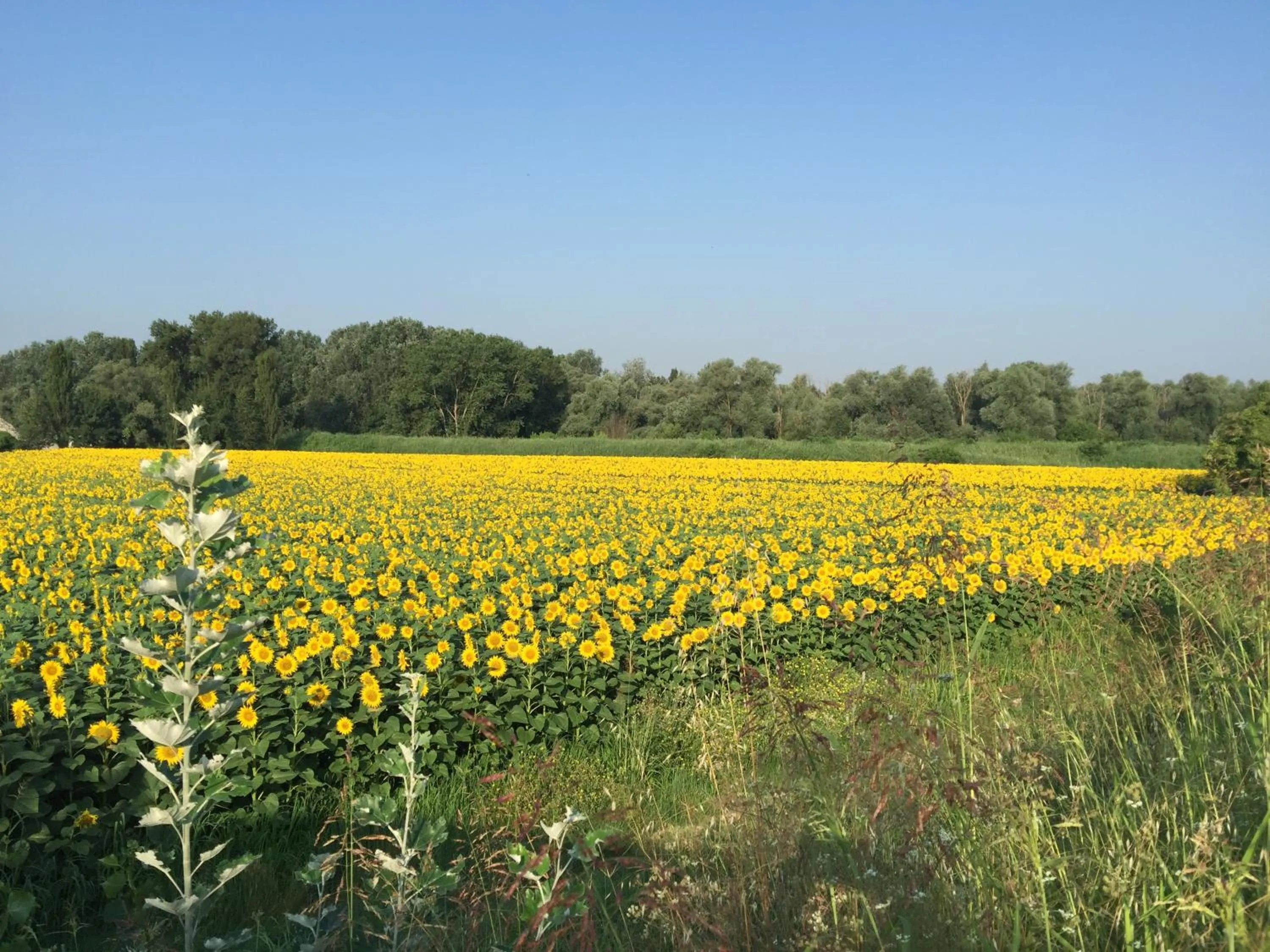 Property building in Bed & Breakfast Case Osti