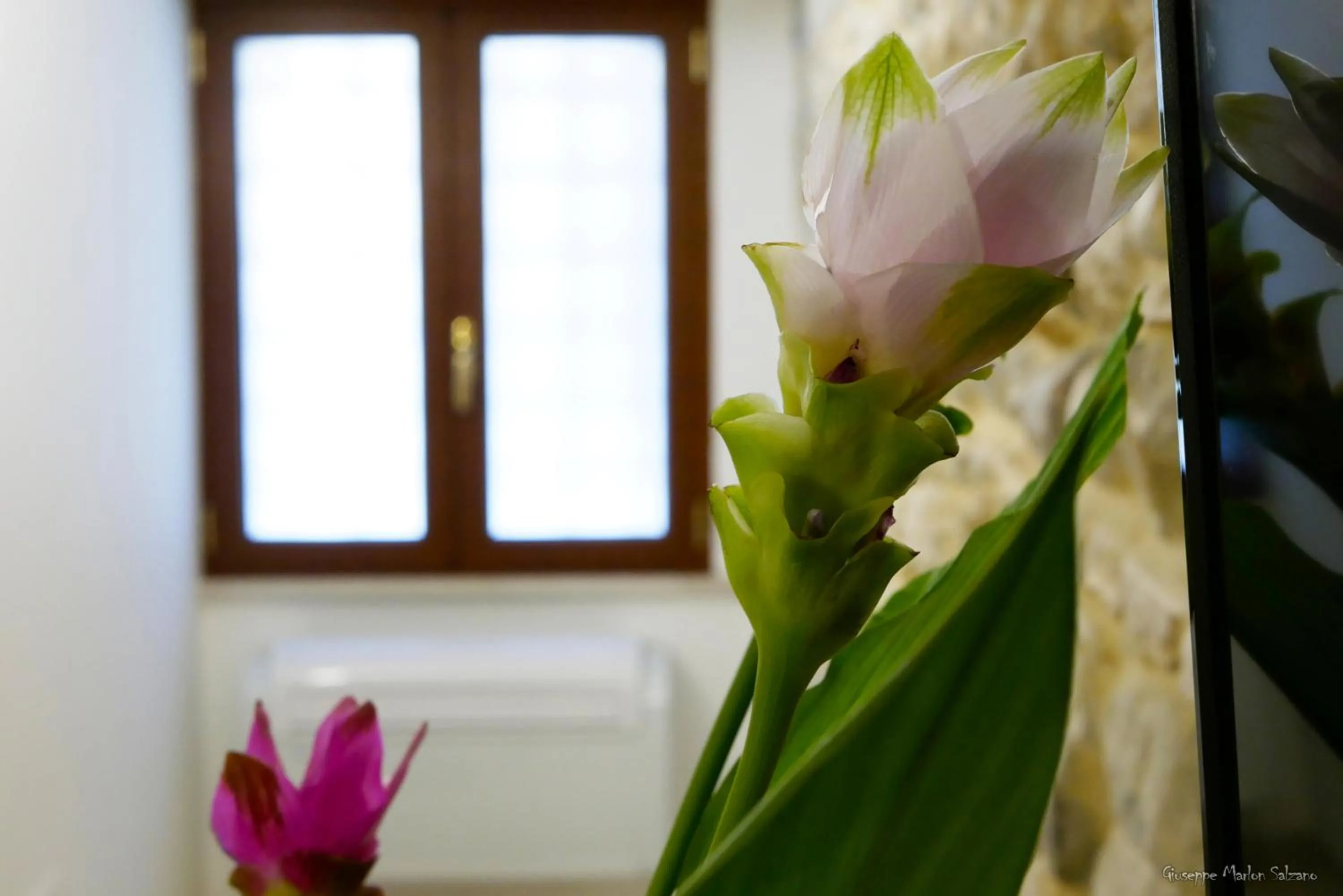 Inner courtyard view in B&B AL TEATRO ROMANO