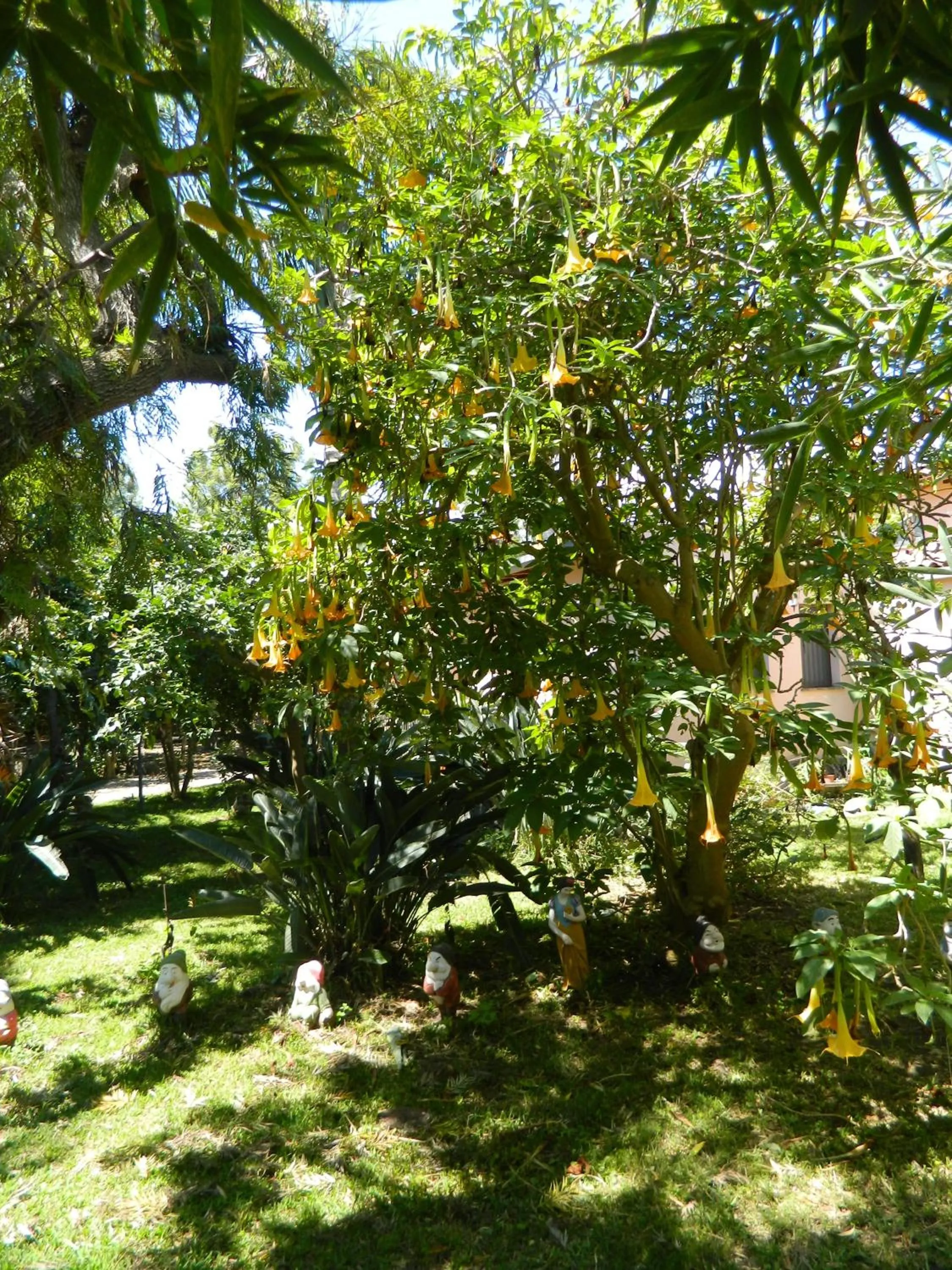 Agriturismo La Grevillea